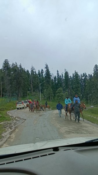 Photo of गुलमर्ग बहुत हमारे भ