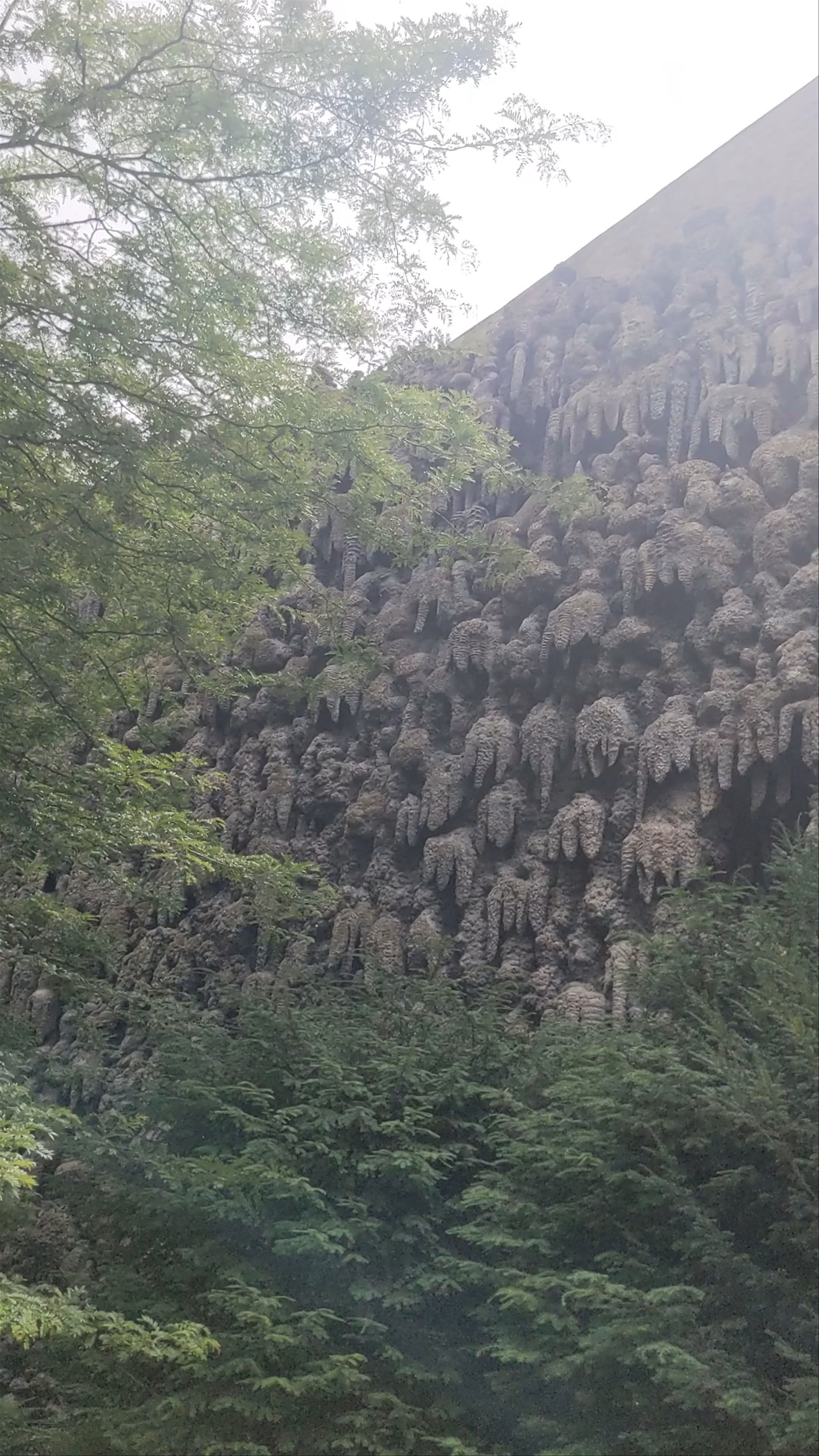 Dripstone Wall Exploration in Malá Strana, Prague