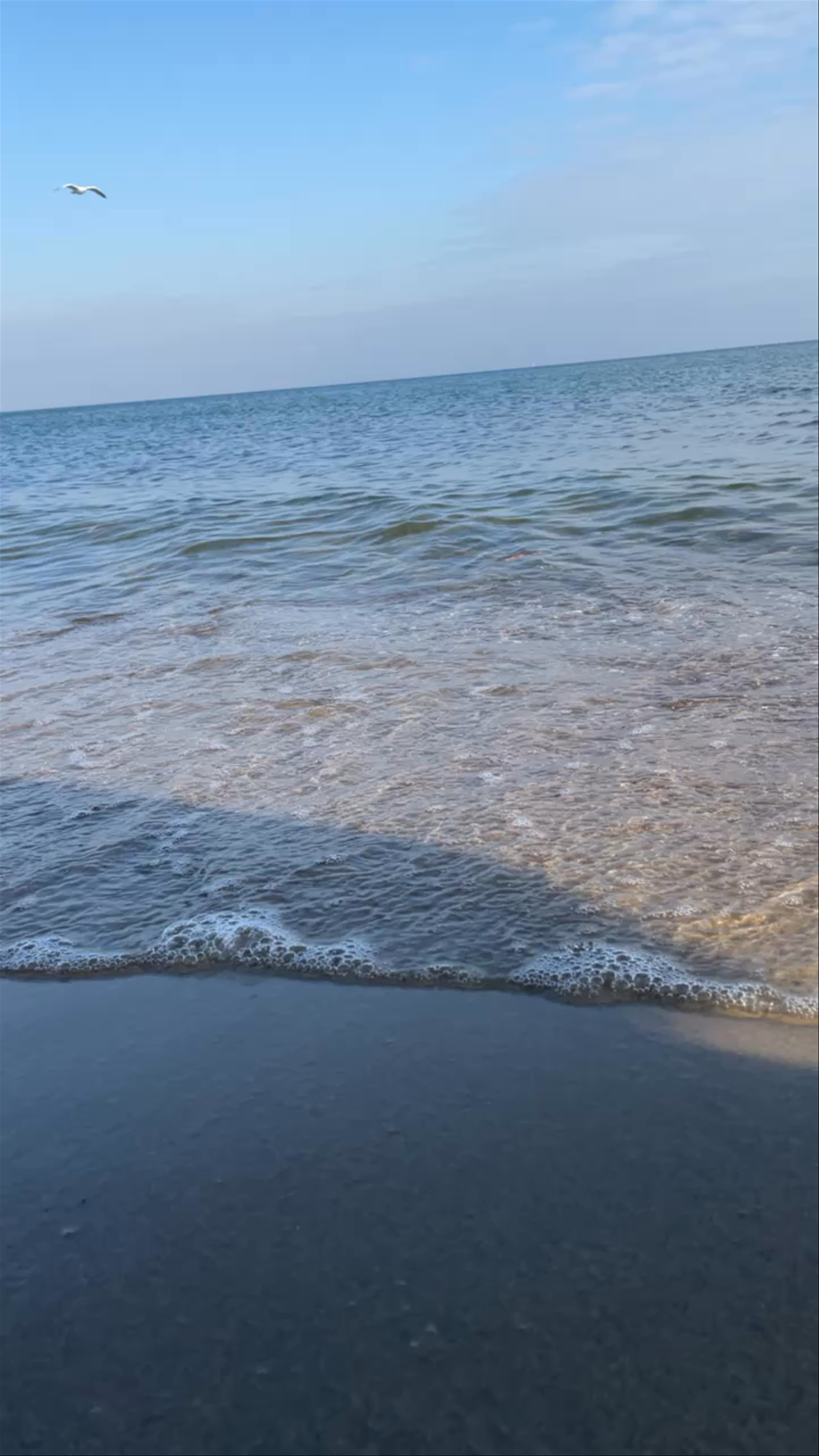 Brzeźno Beach Serenity in Gdańsk, Poland