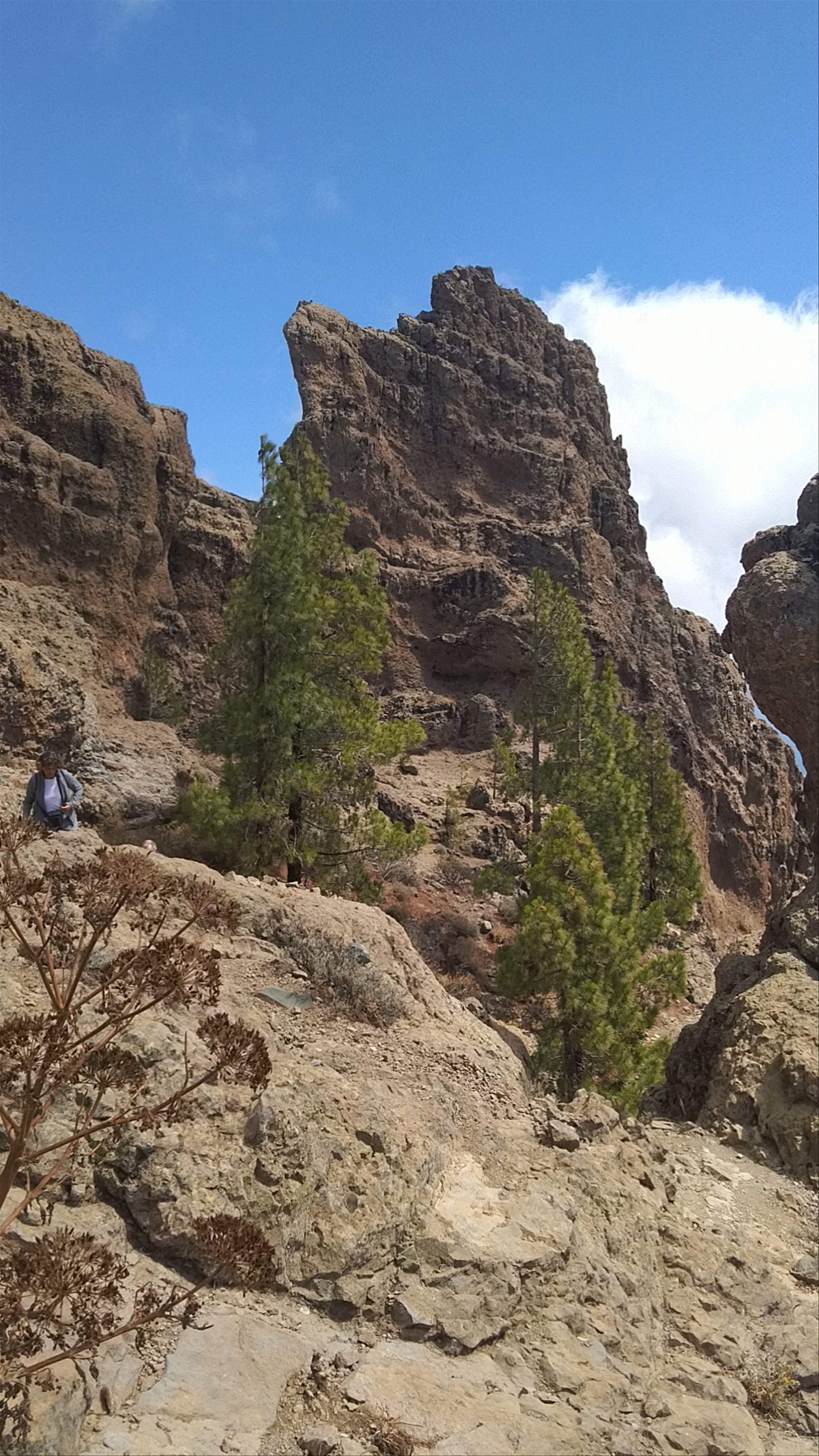 Pico de las Nieves: Breathtaking Summit Views in Gran Canaria