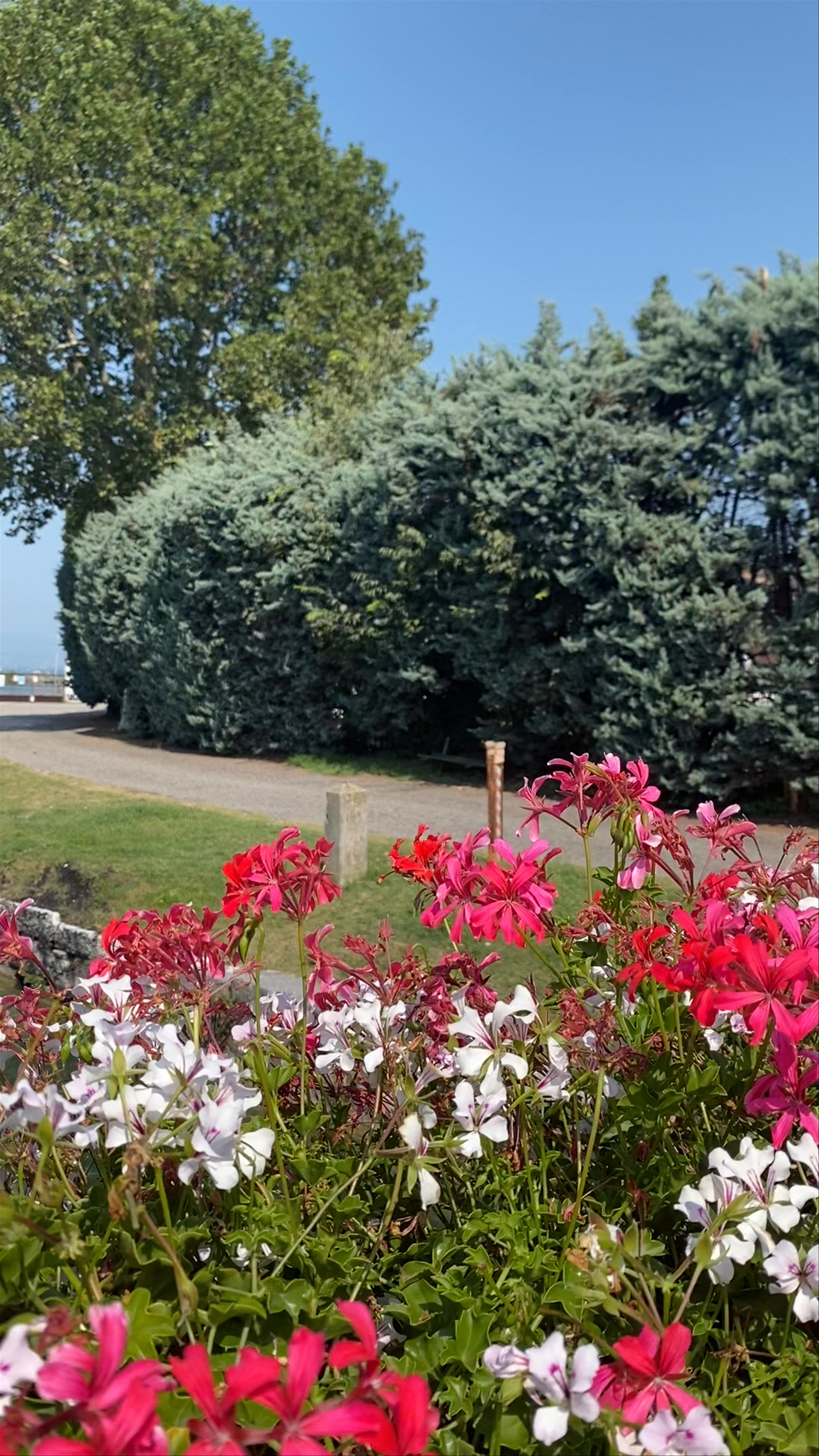 Sunny Riverside Serenity at Via Venezia, Peschiera del Garda