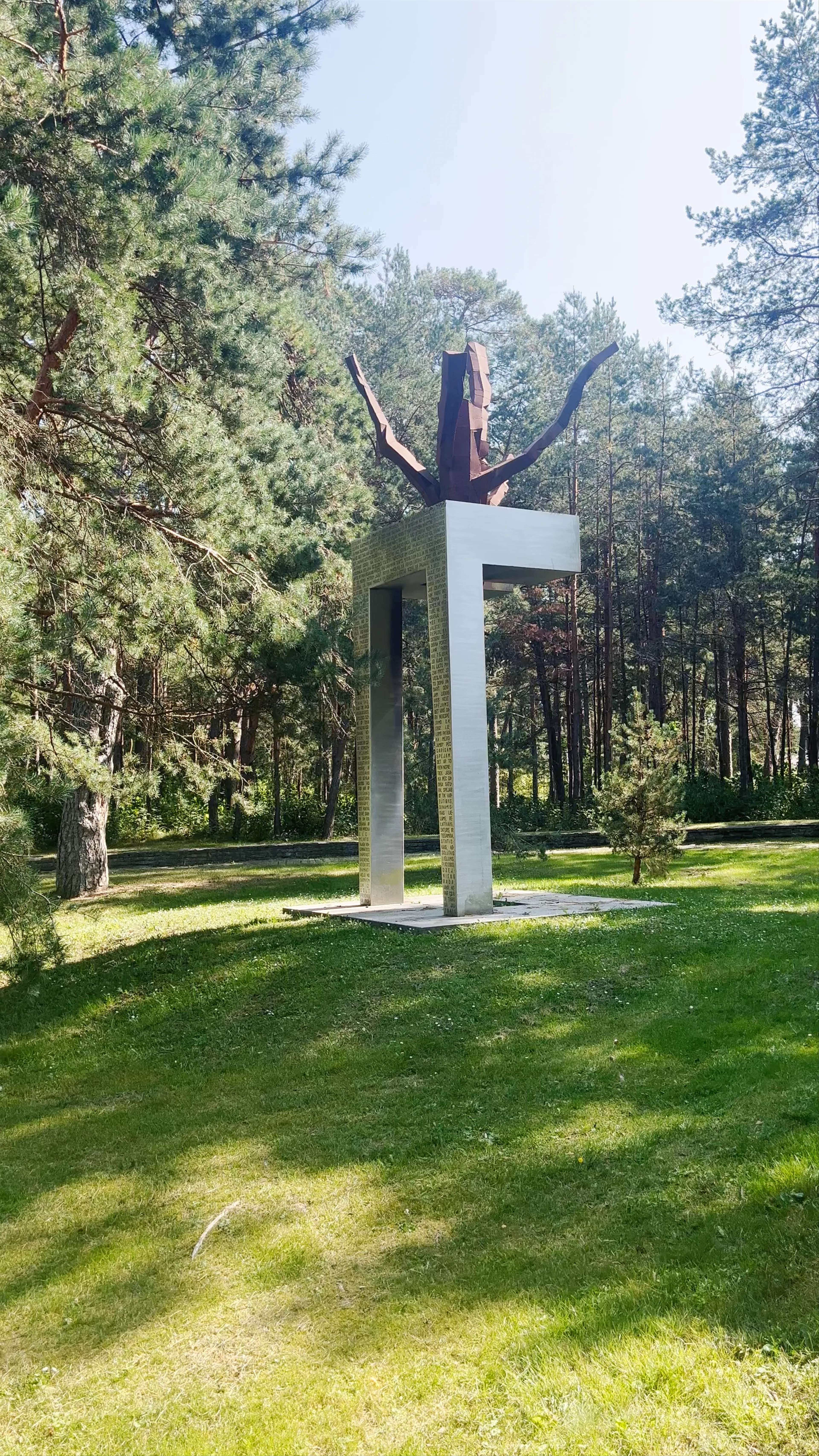 Сосны Райниса, Amatas iela, Jūrmala