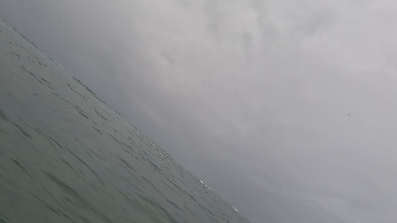 Ty Gurney Surf School - Surfing Near Me - Honolulu, Hawaii