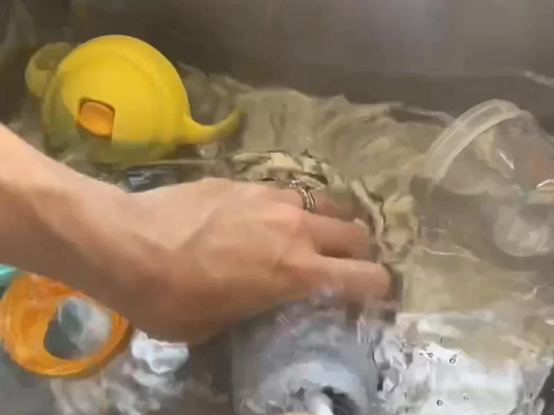 Pigeon Liquid Cleanser