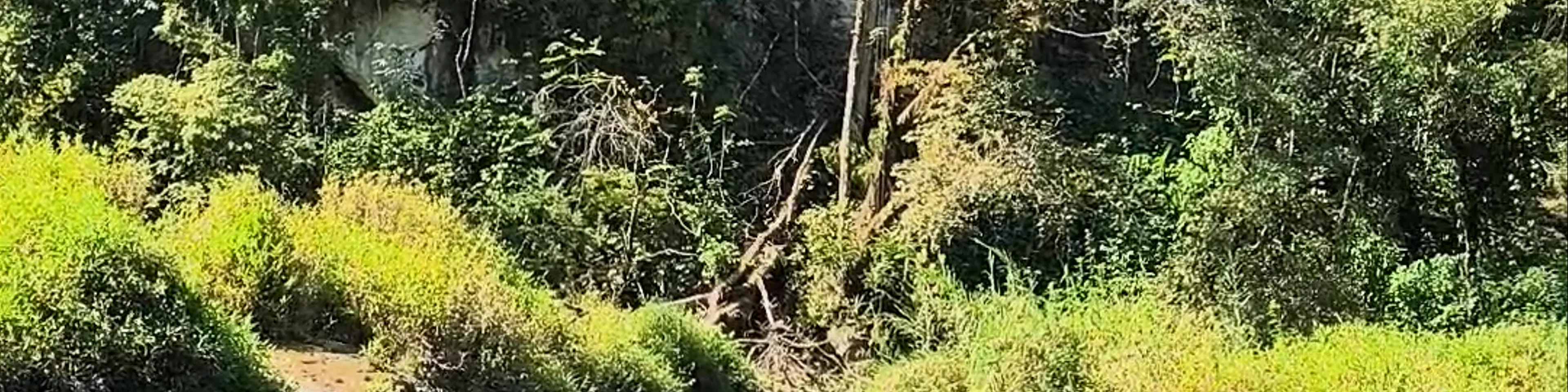 Cascadas río Cahabón