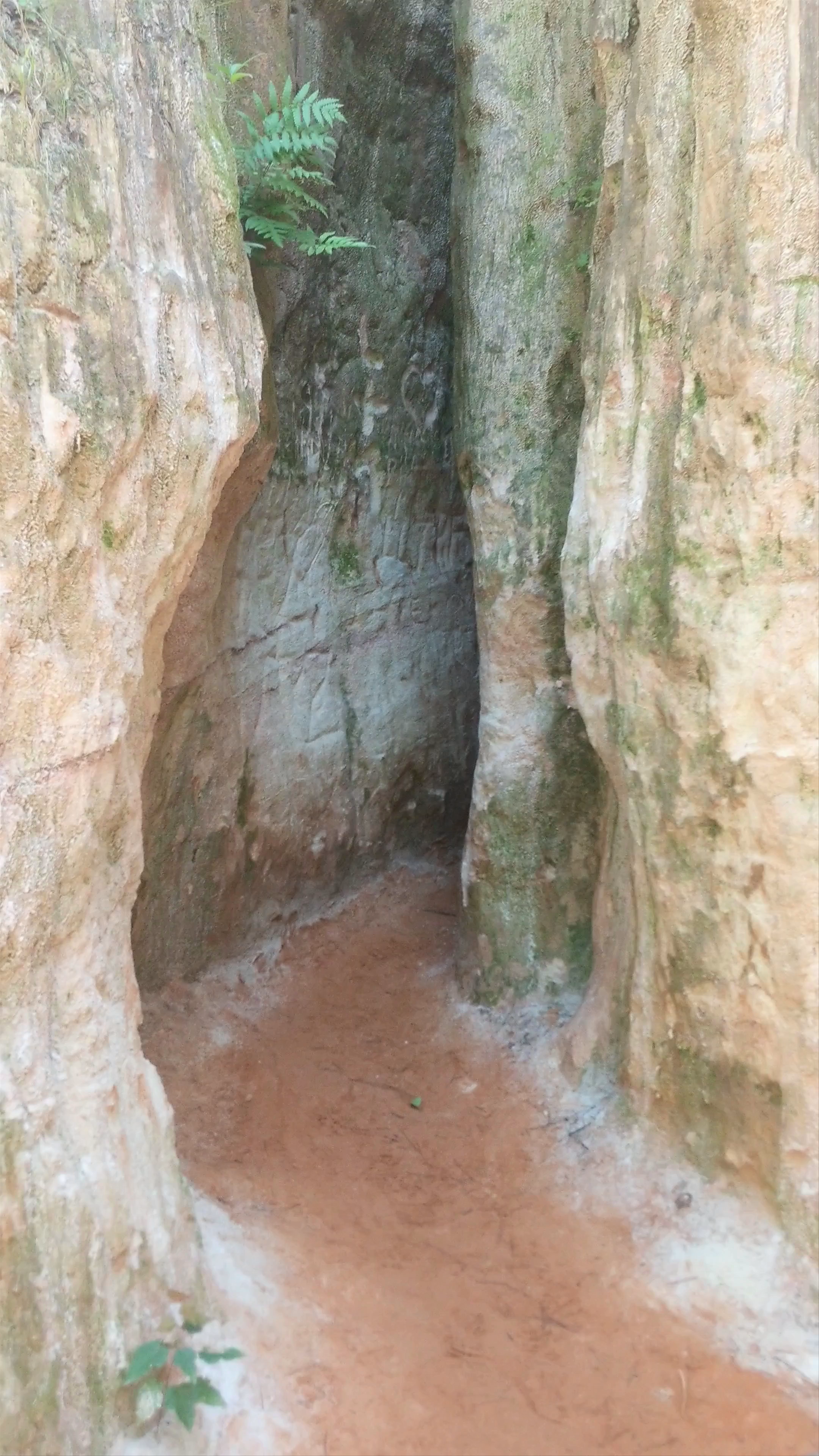 Providence Canyon - The "mini grand canyon"
