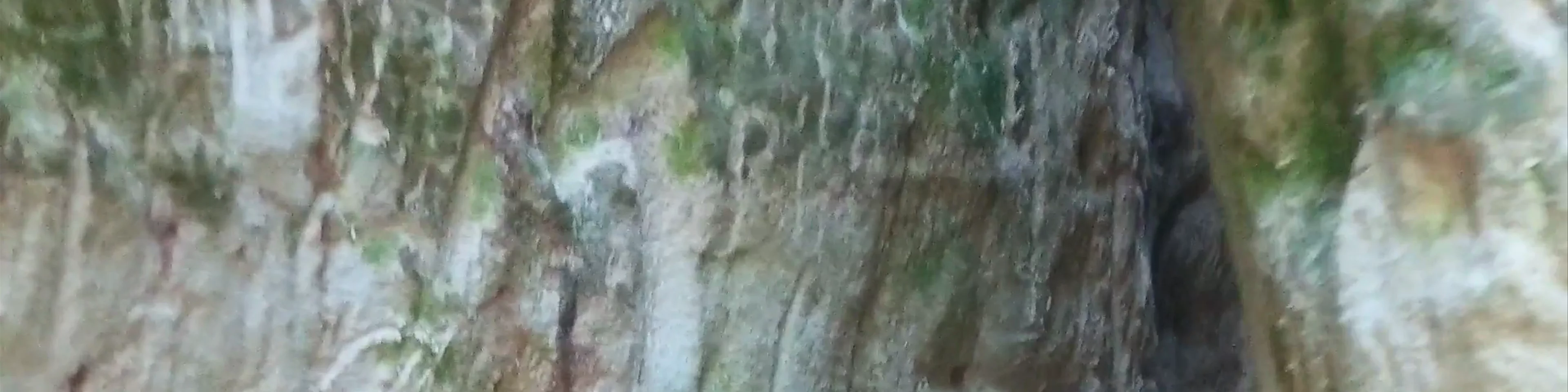 Providence Canyon - The "mini grand canyon"