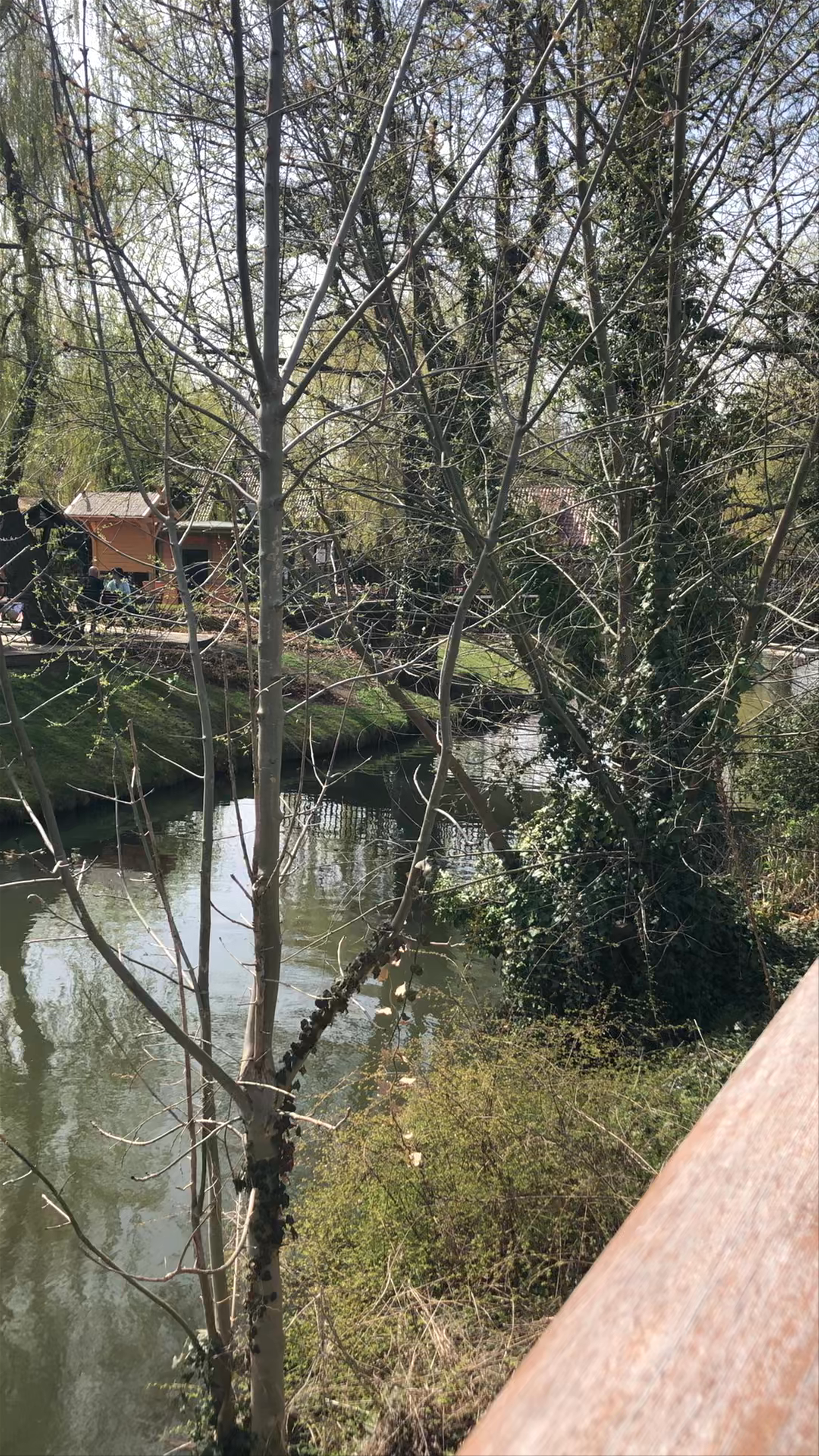 Schlossinsel Lübben
