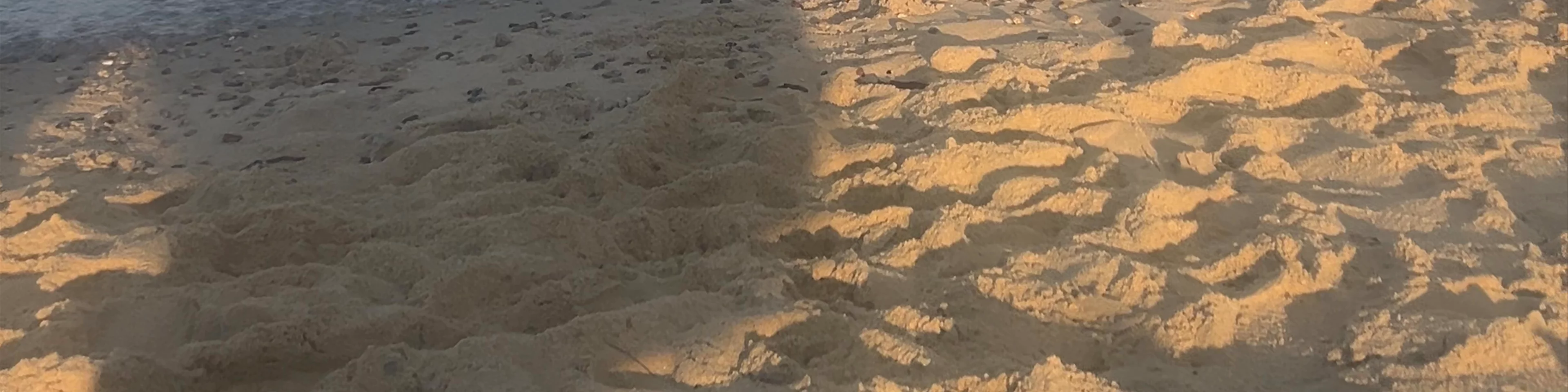 Fava Beach