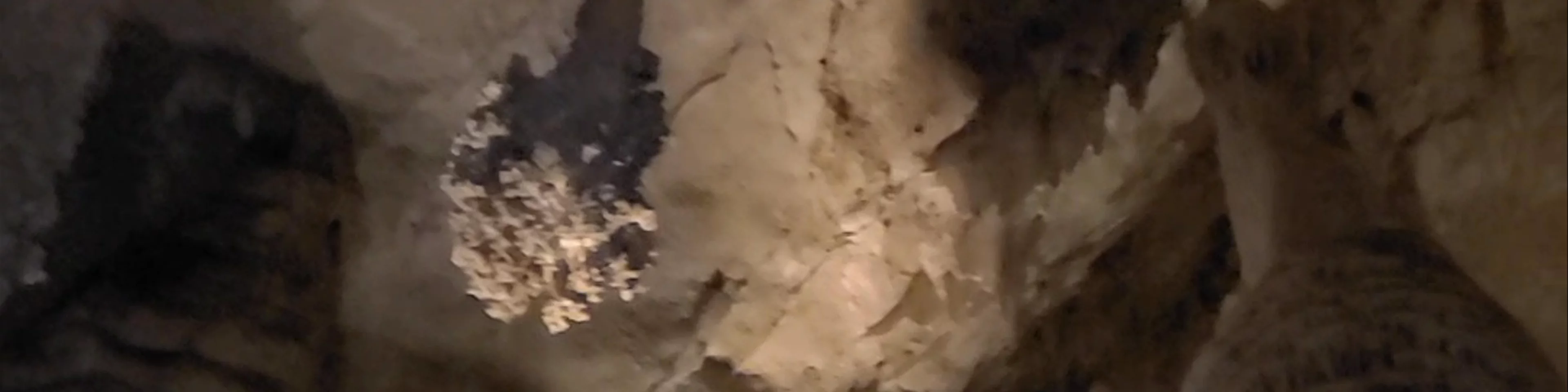 Carlsbad Cavern Natural Entrance