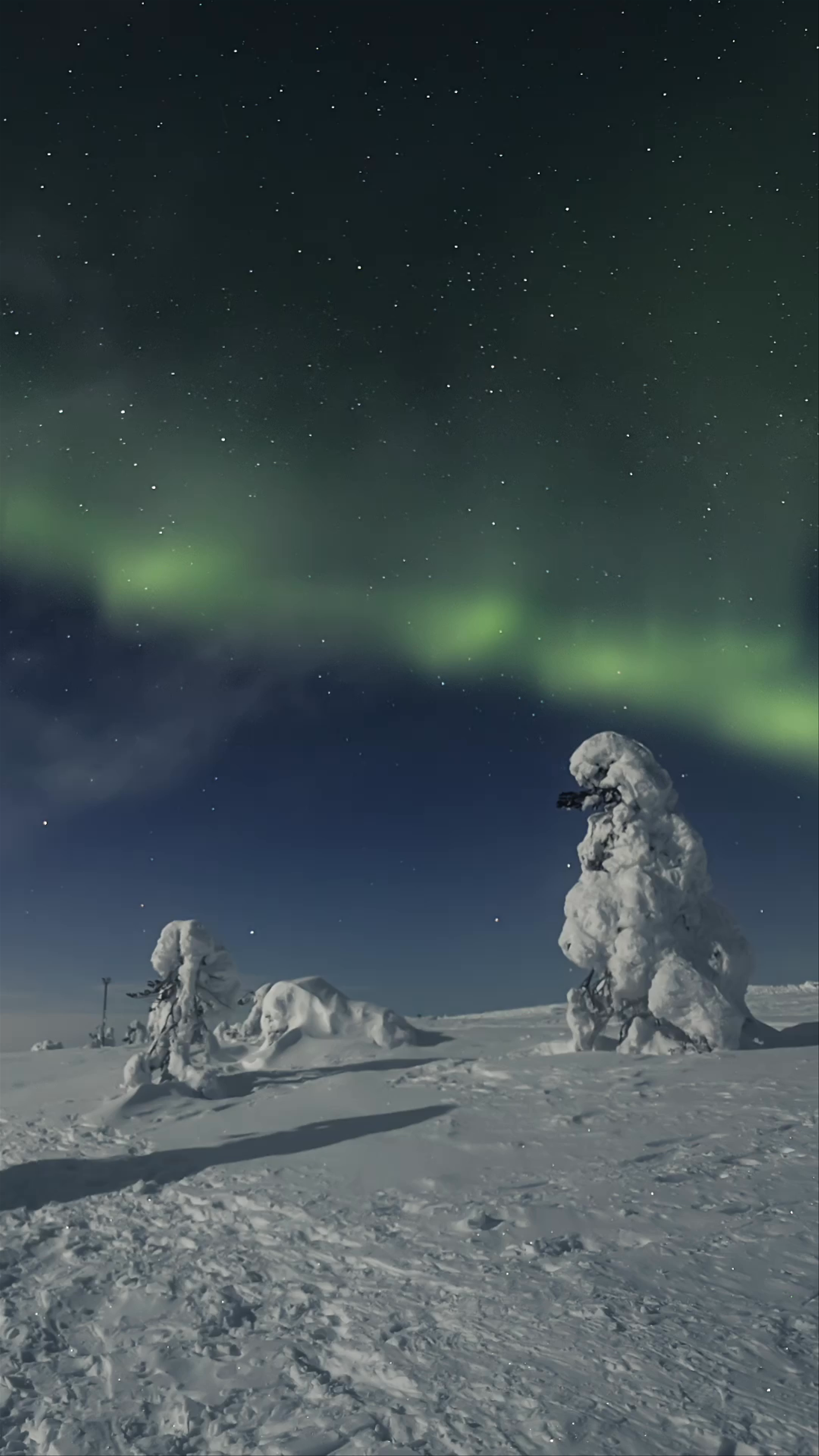 Northern Lights over Snowy Wilderness at Tunturi- ja näköalaravintola TUIKKU, Sirkka, Finland