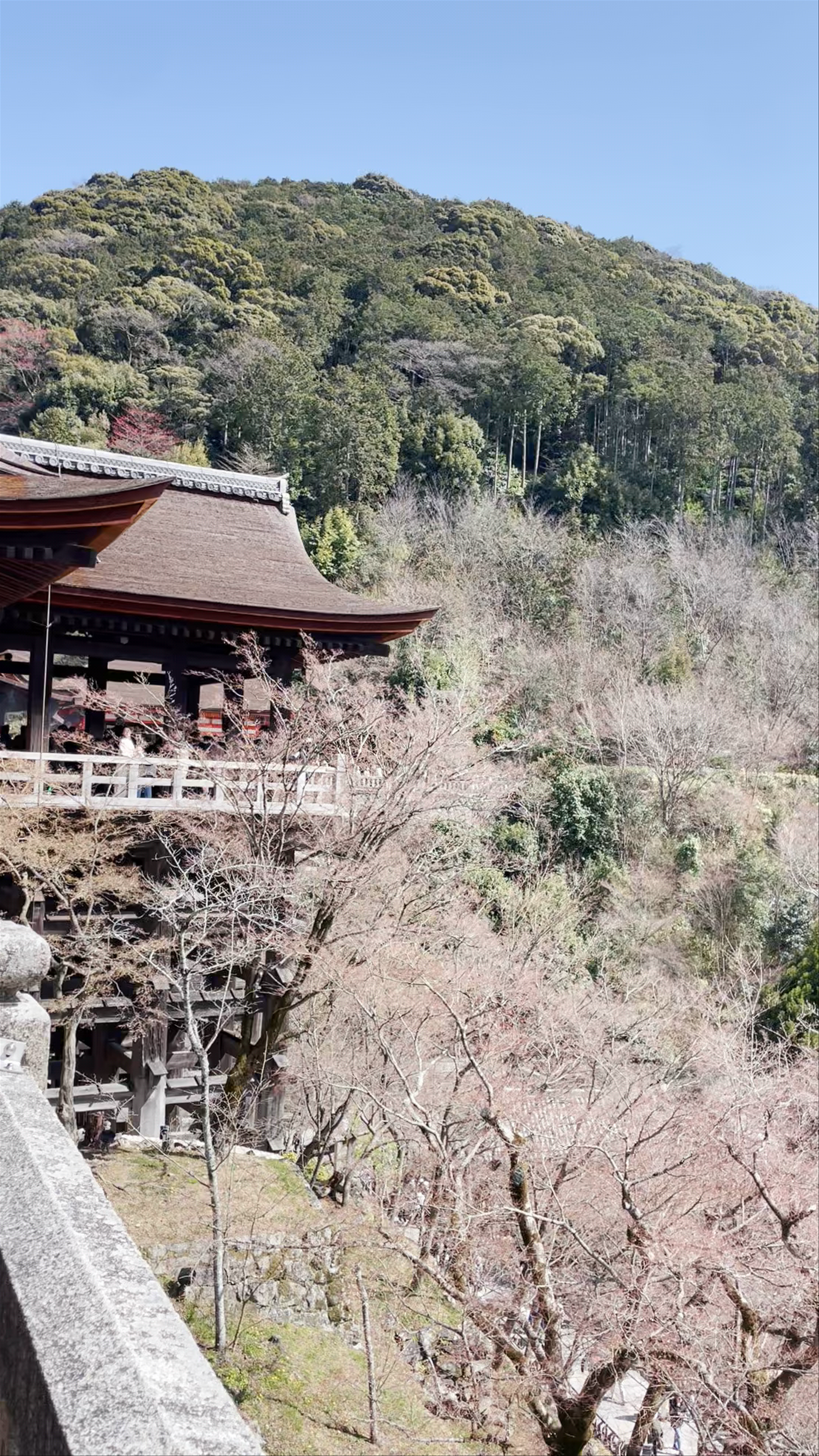 Kiyomizu-dera Temple