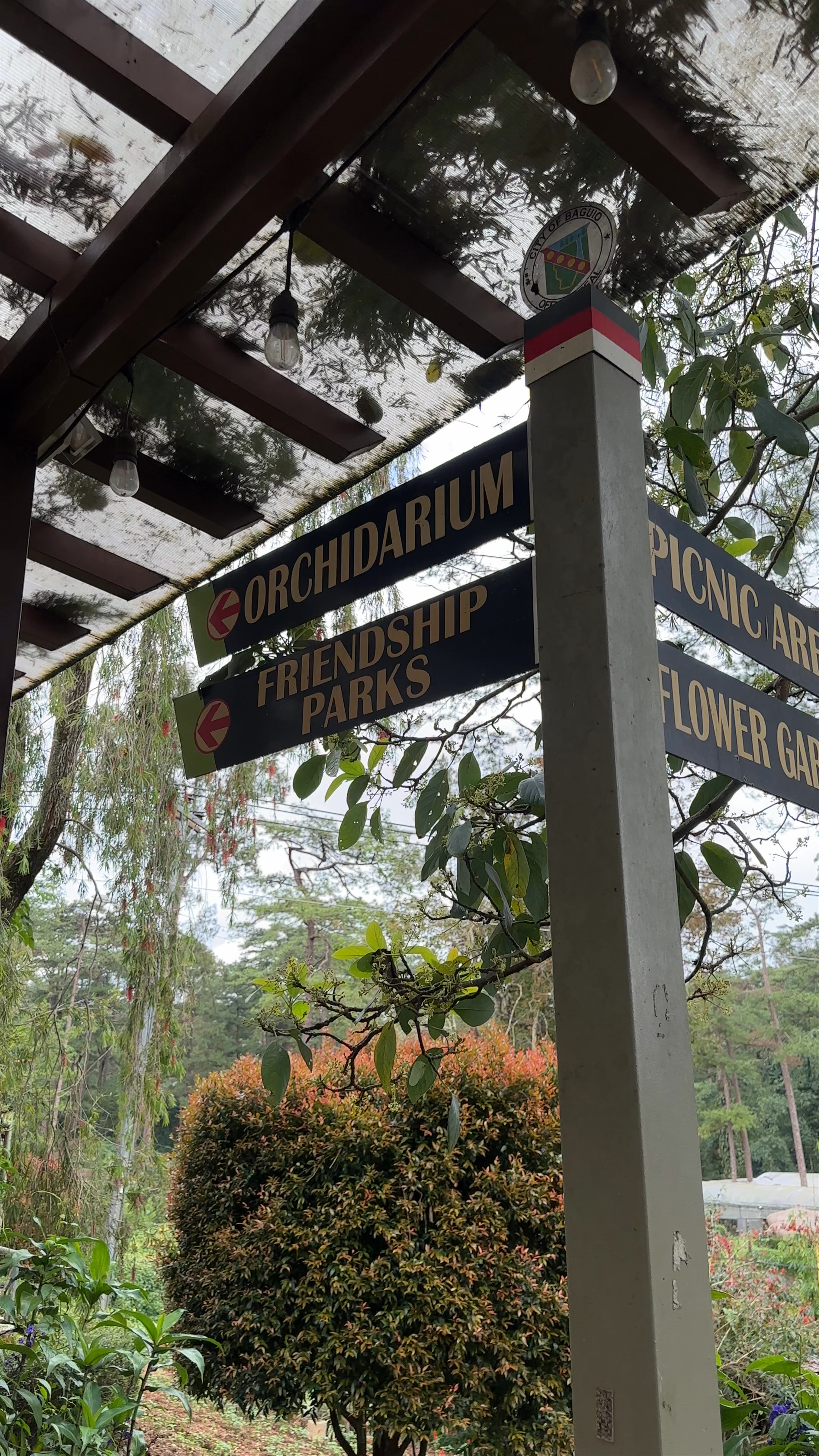 Discover Botanical Garden Serenity in Tavera, Baguio
