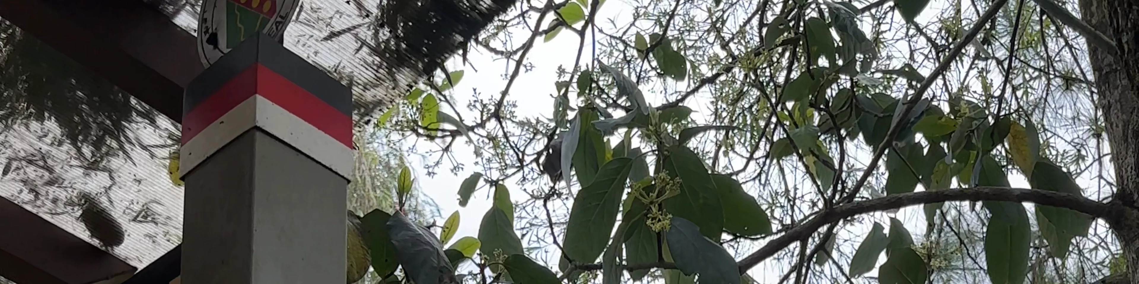 Botanical garden