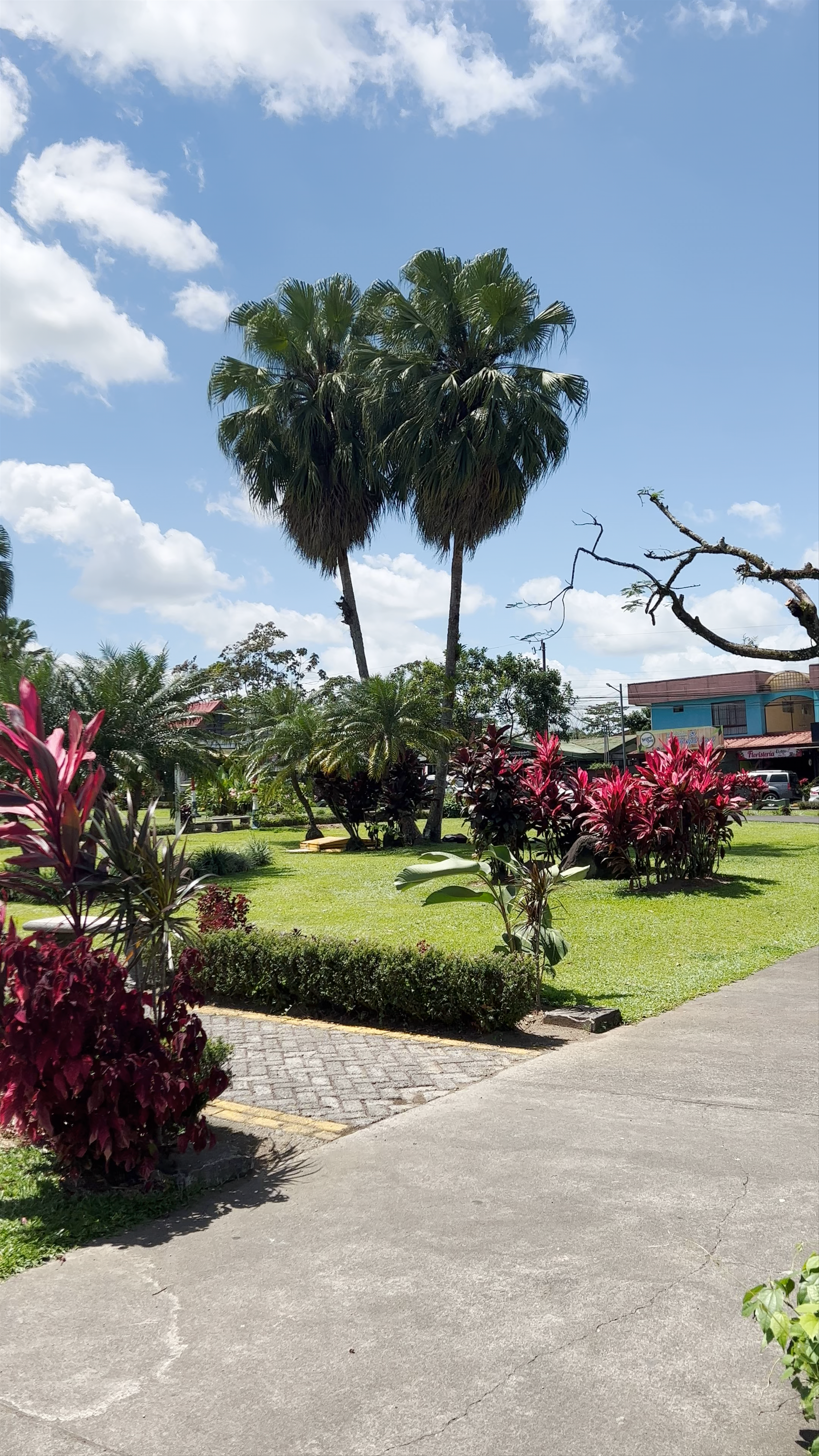 Parque de La Fortuna