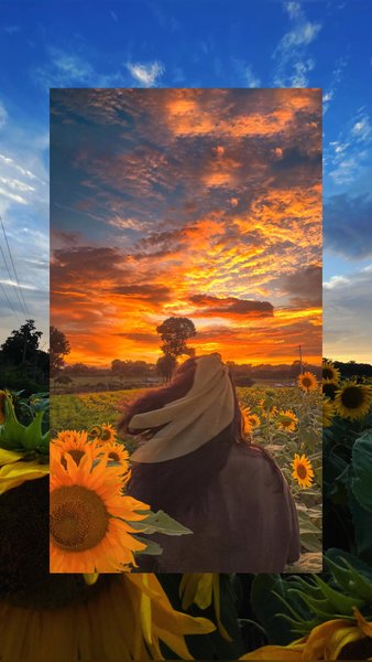 Photo of You don’t have to vi