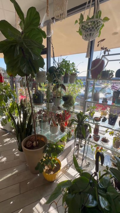 Charlee Rose Coffee - Coffee & Tea Near Me - Gilbert, Arizona
