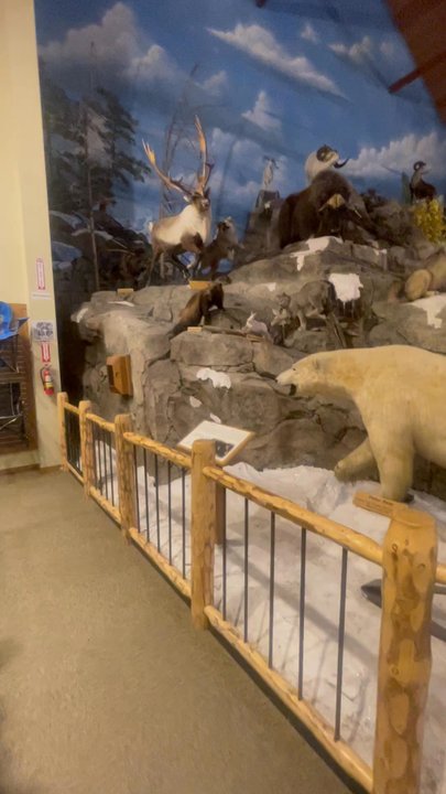 Bass Pro Shops - Hunting & Fishing Supplies Near Me - Albuquerque, New Mexico