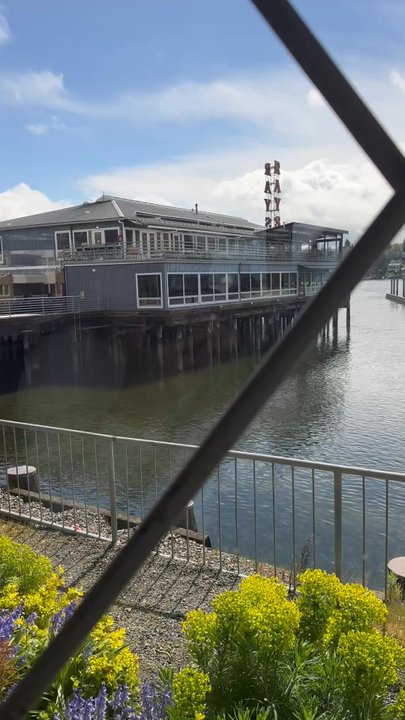 Happy Crab - South to North video - Seafood Near Me - Seattle, Washington