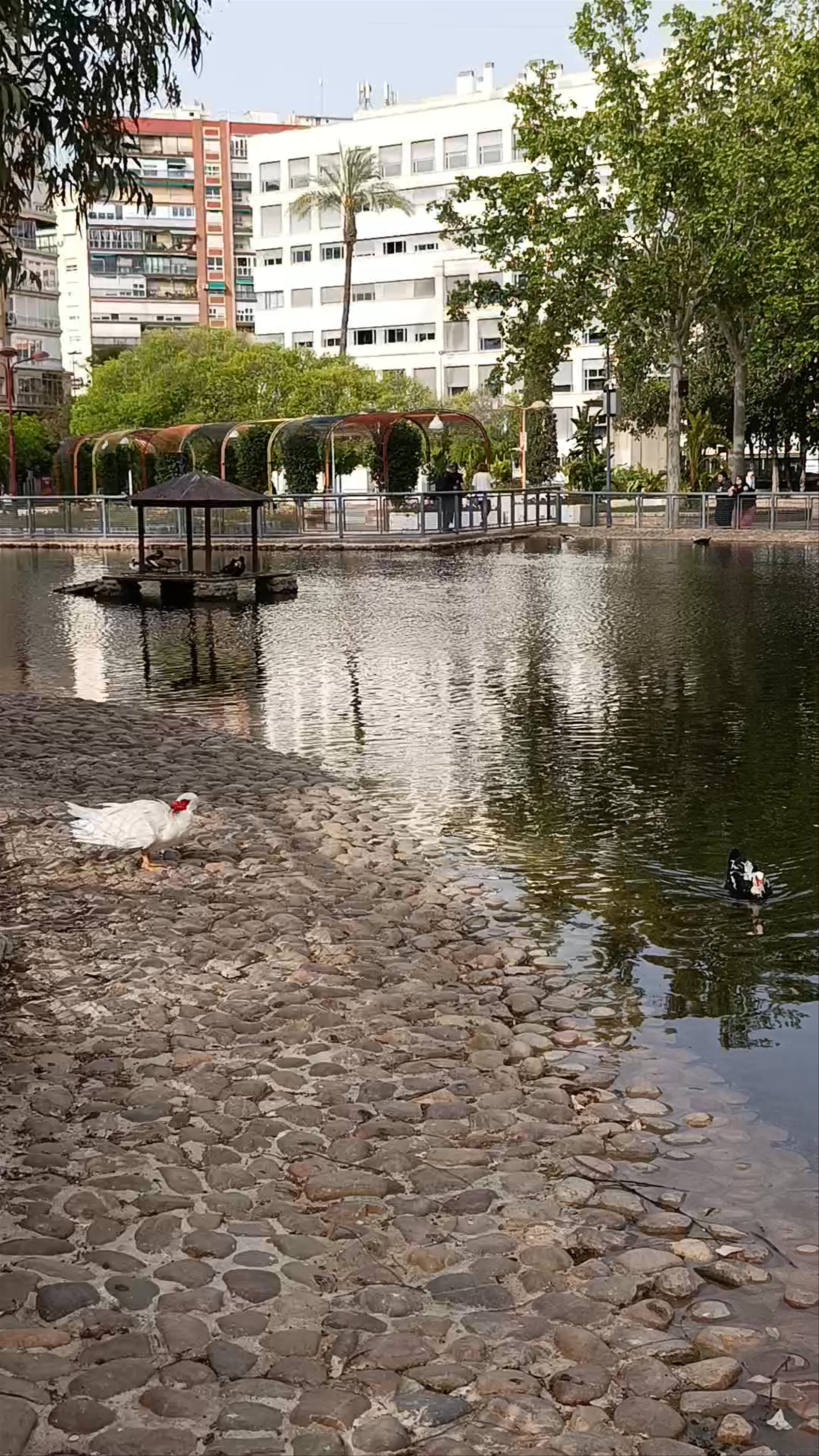 Jardín del Salitre