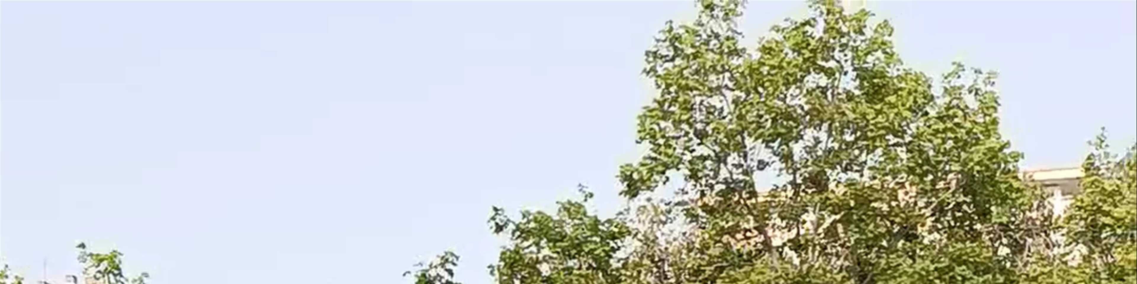 Jardín del Salitre