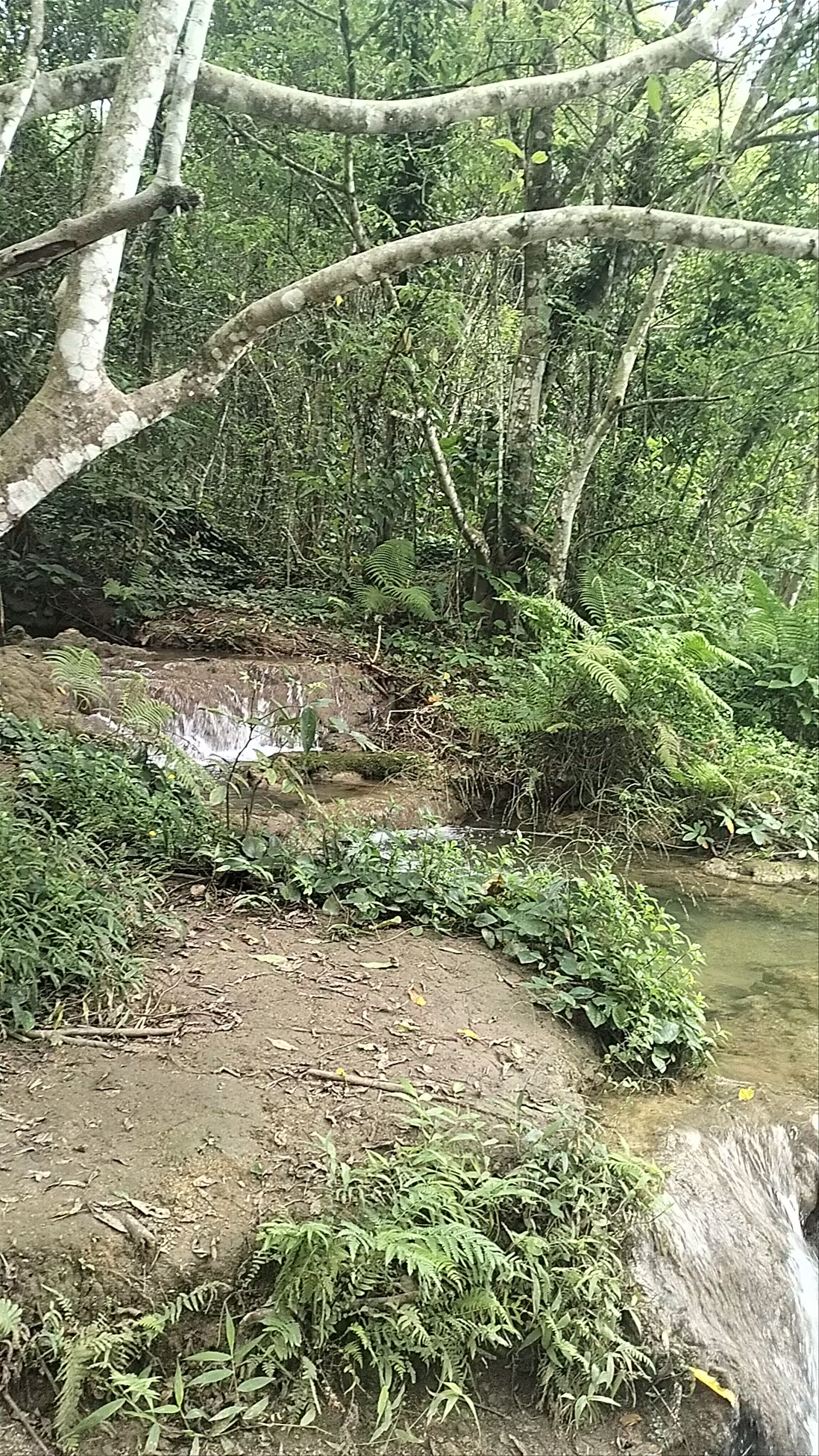 Khao Sok National Park