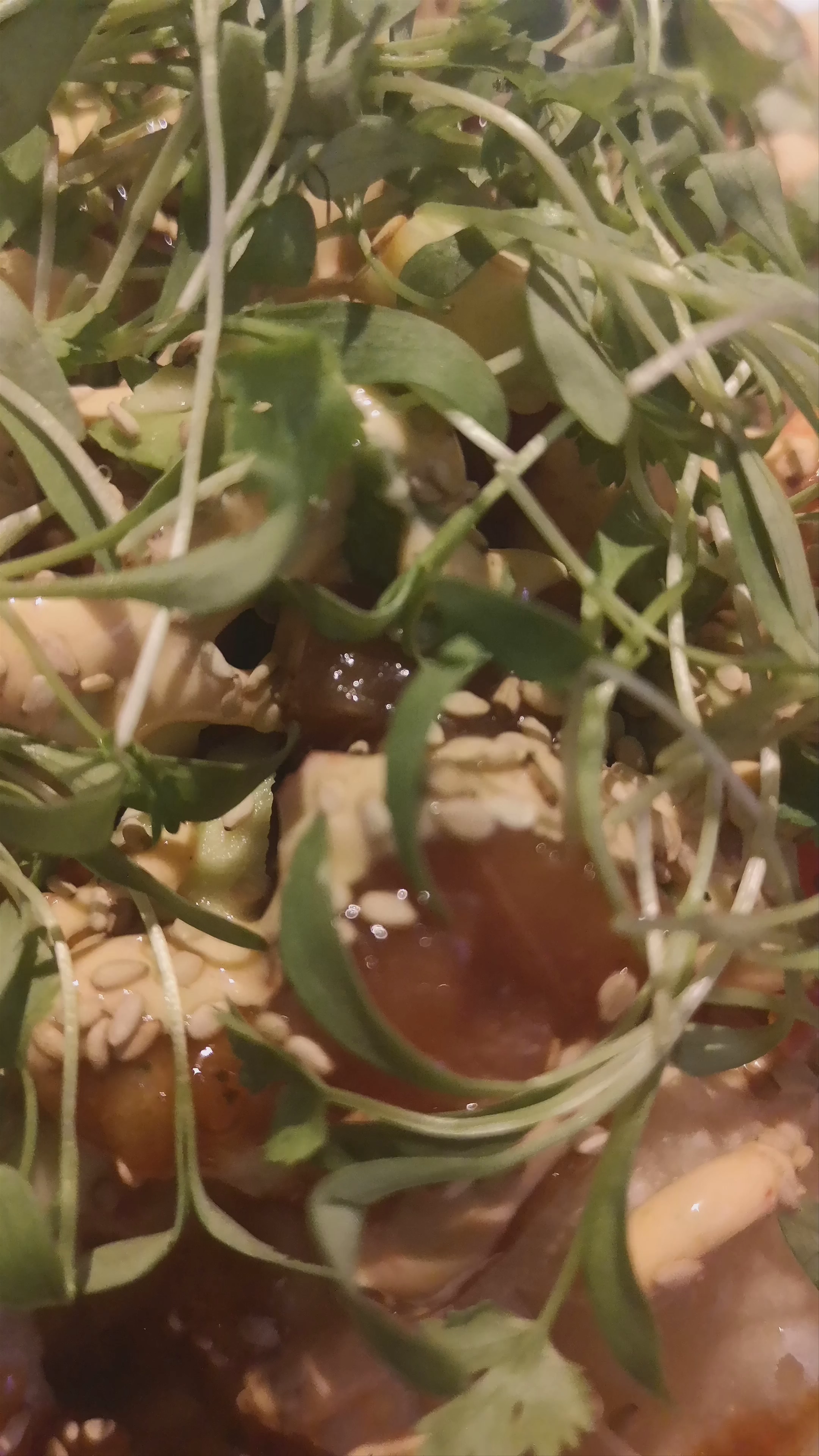 barleymash San Diego: A Flavorful Night on Fifth Avenue