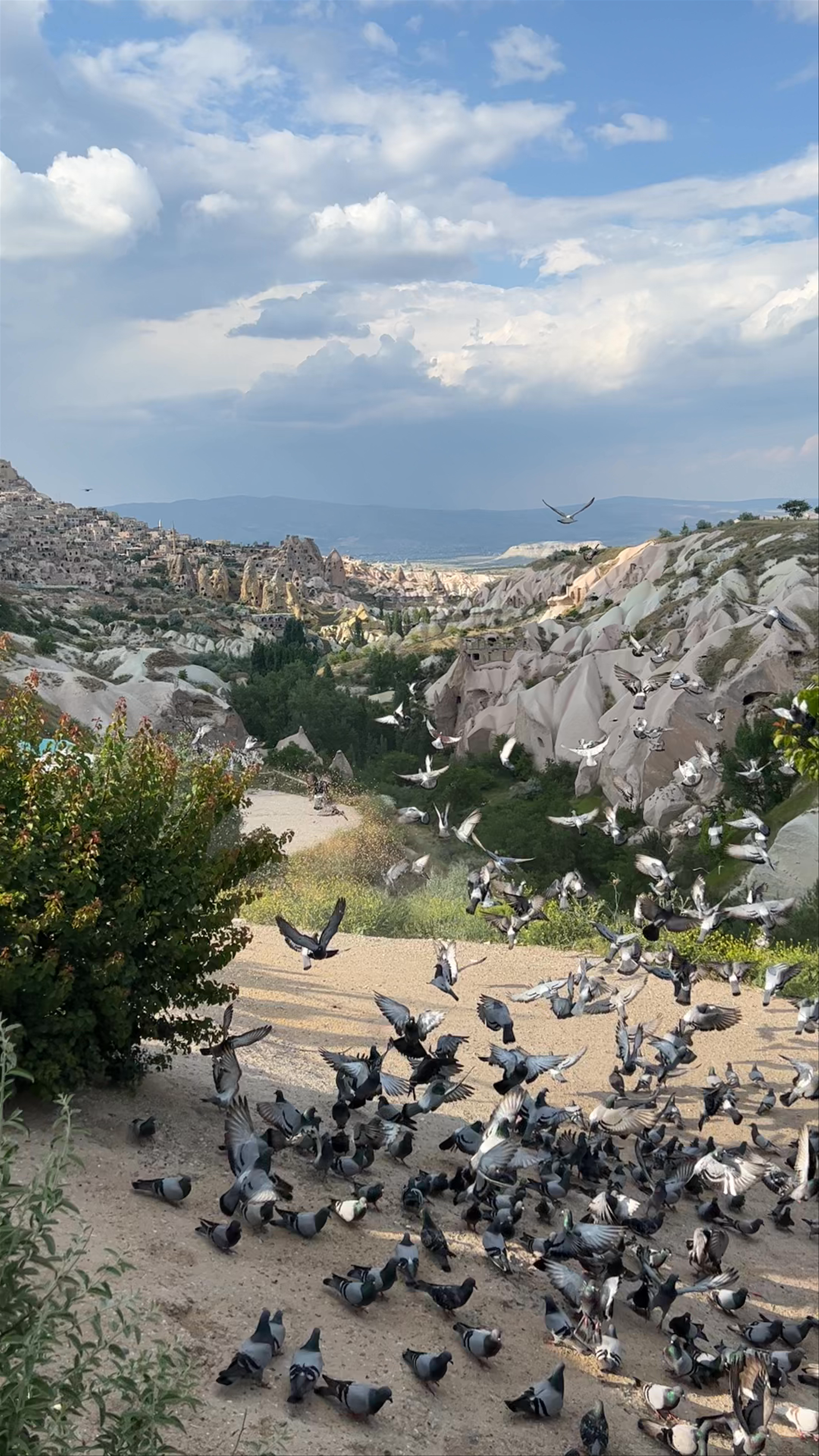 Pigeon Valley Trailhead East