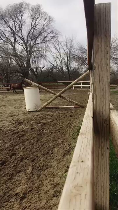 Hillside Training Stables - Horseback Riding Near Me - Orangevale, California