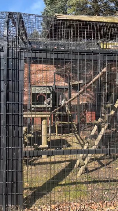 POTTER PARK ZOO - Updated June 2026 - 211 Photos & 63 Reviews - 1301 S ...