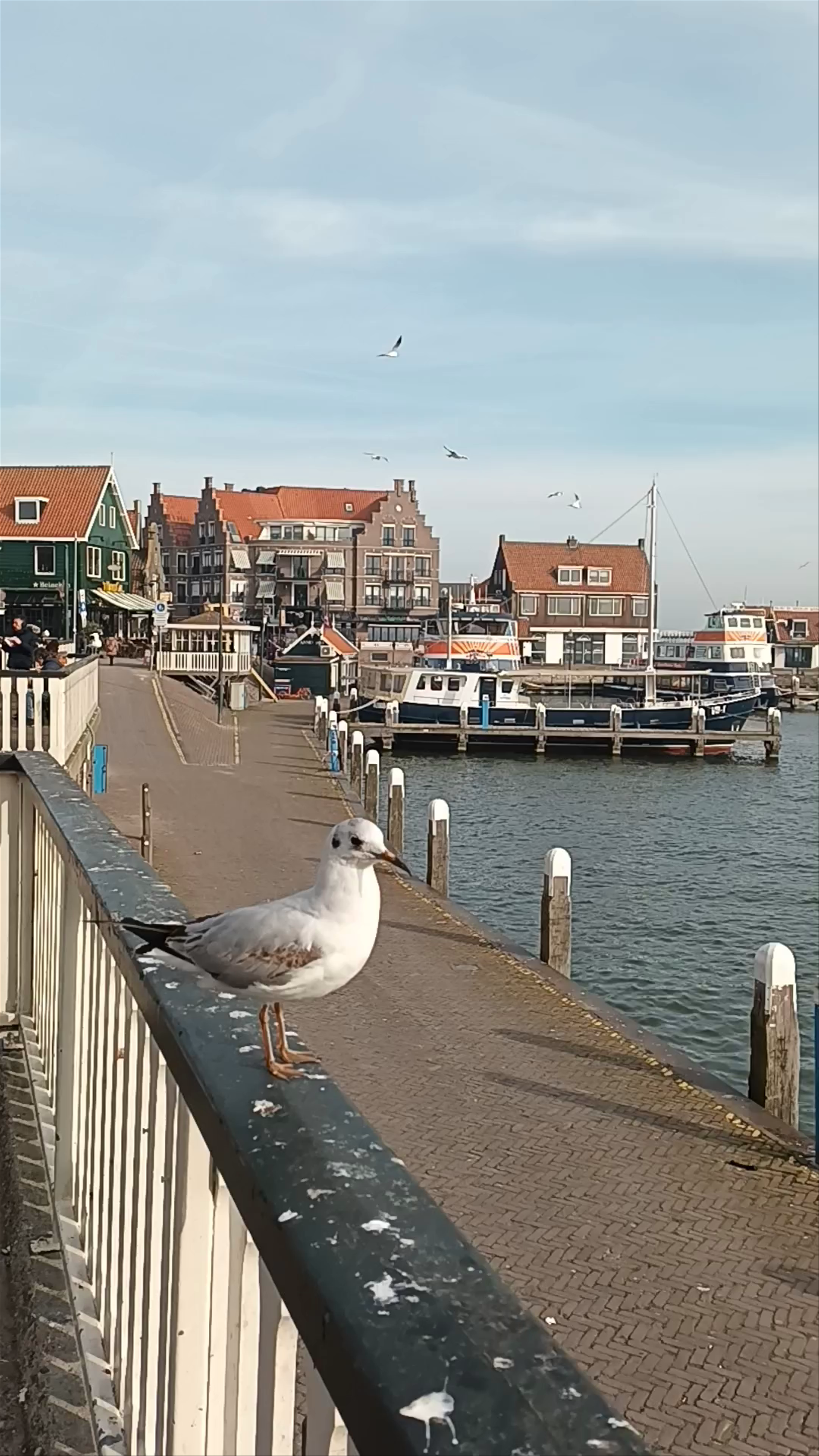 Volendam Old Bridge Residence