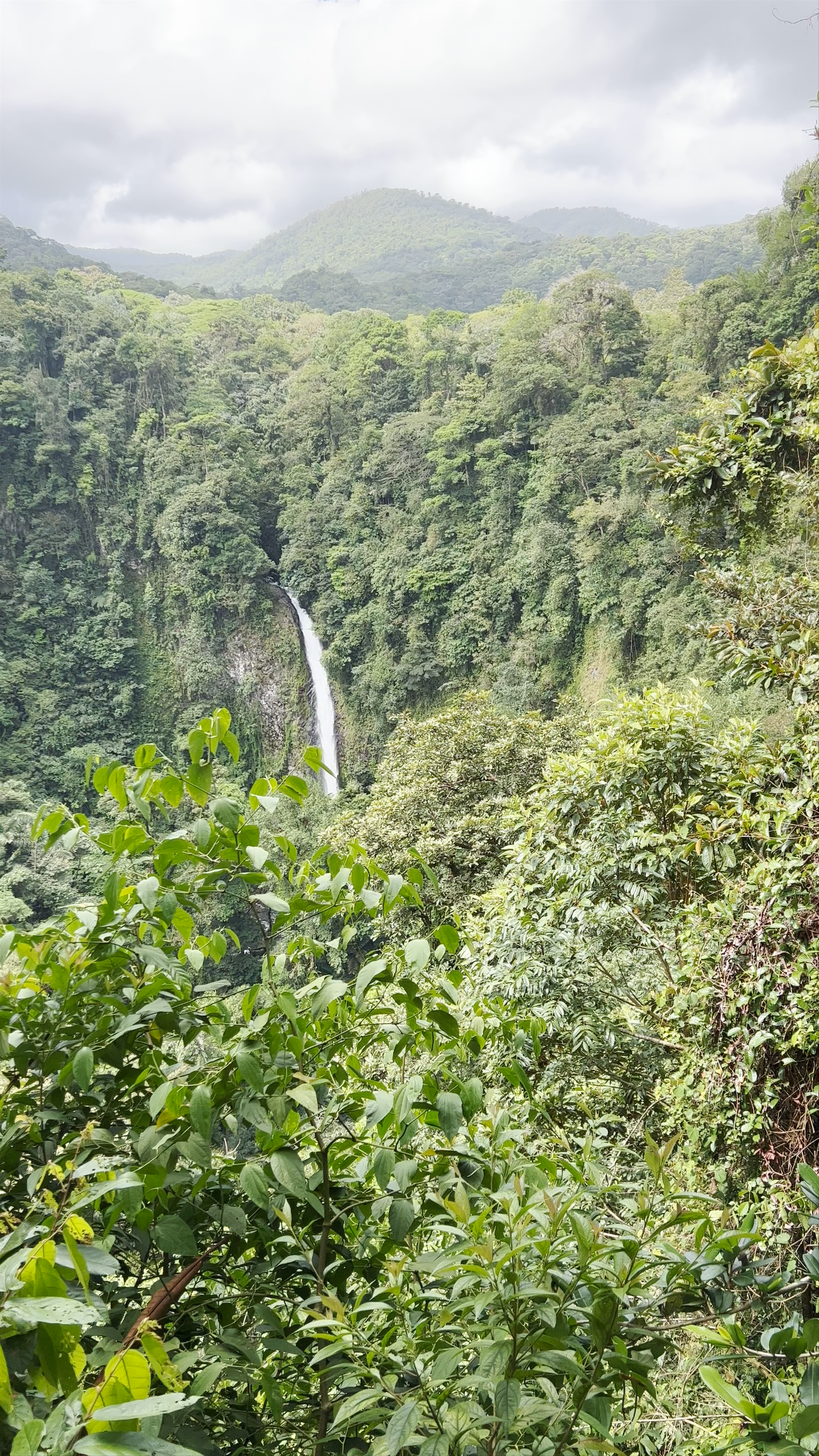 La Fortuna Waterfall
