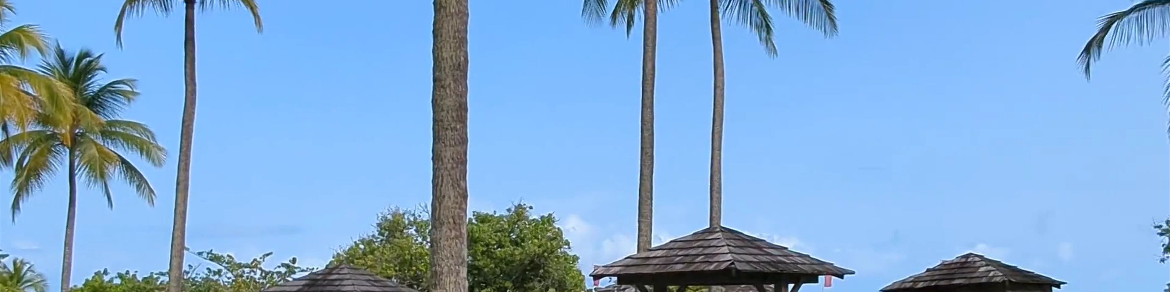La Creole Beach Hotel & Spa