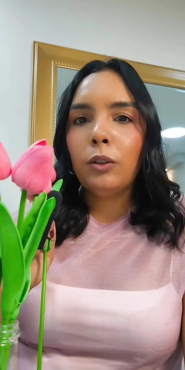 Contenido del creador