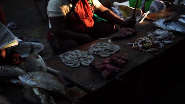 Free India Stock Video Footage Royalty Free Video Download Coverr Free India Stock Video Footage Royalty Free Video Download Coverr