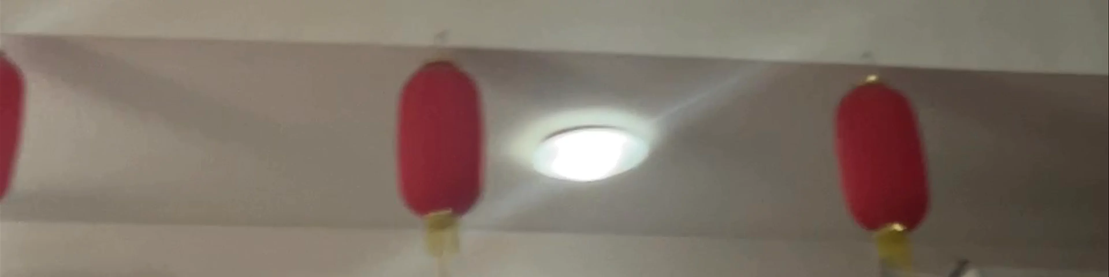 Ravioli Liu
