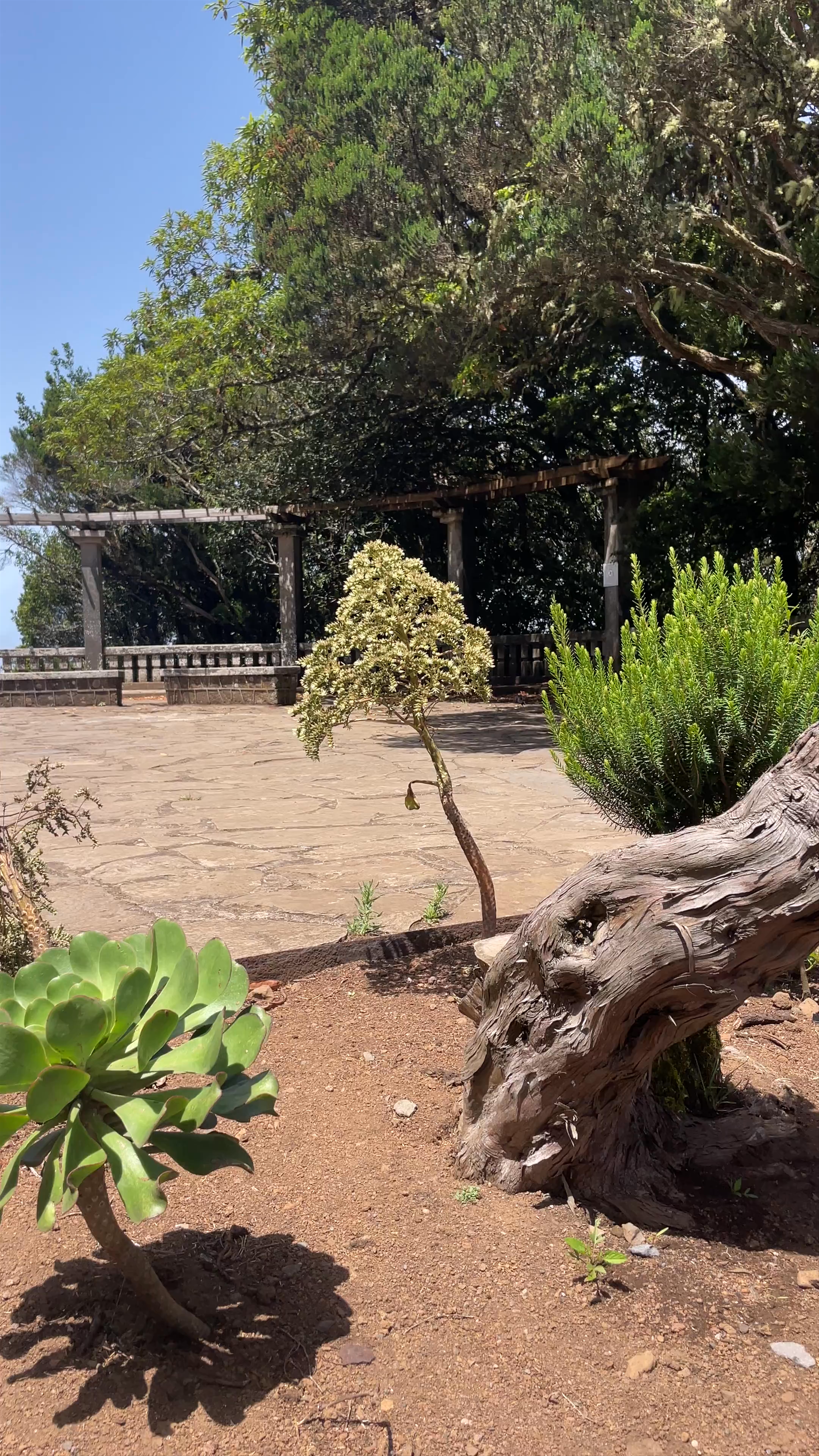 Mirador Cruz del Carmen