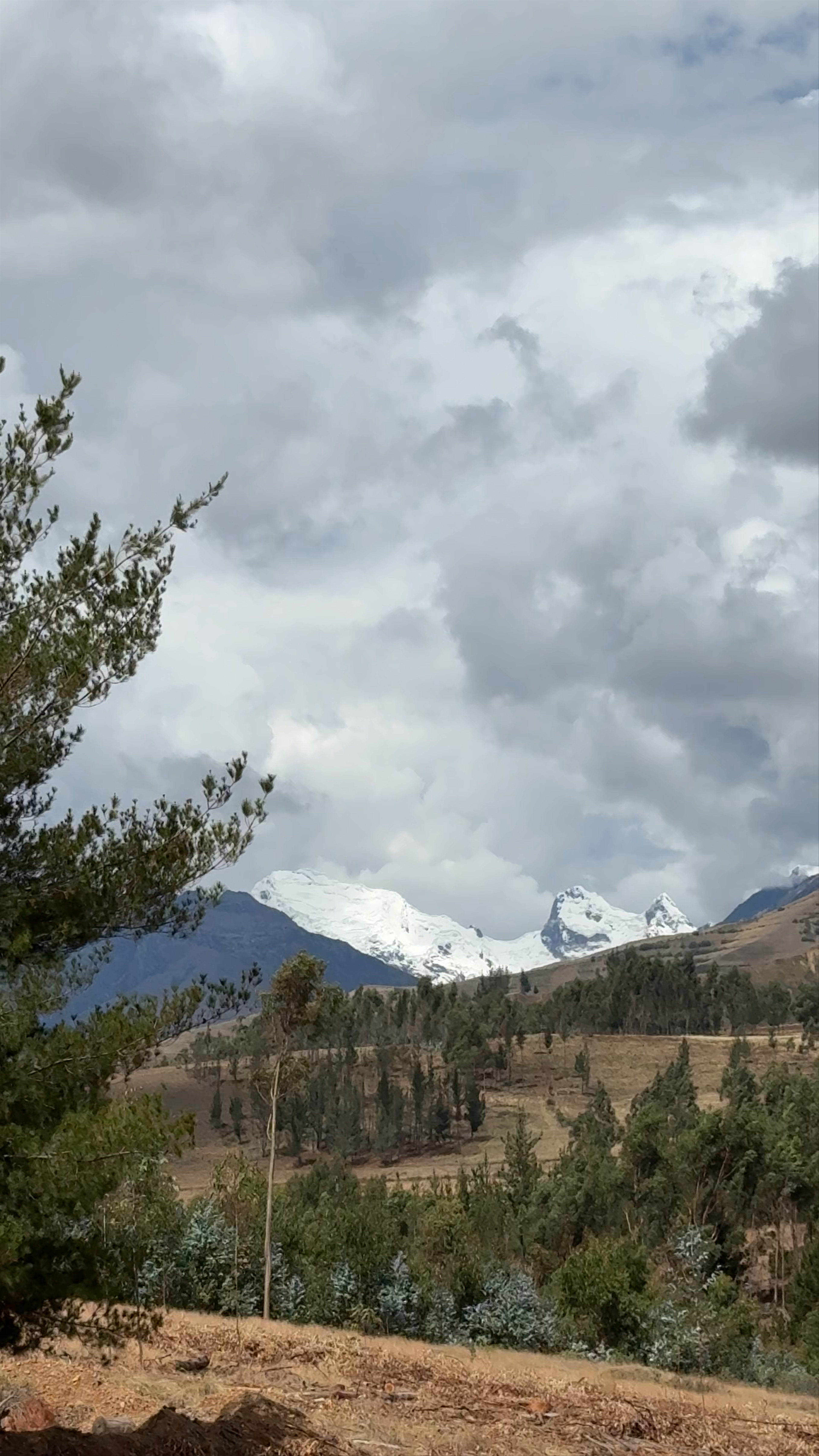 Yacimiento Arqueológico Cruz Punta