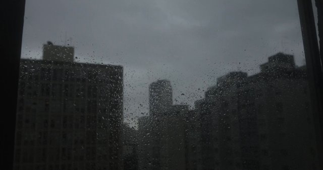 Raindrops on the window 