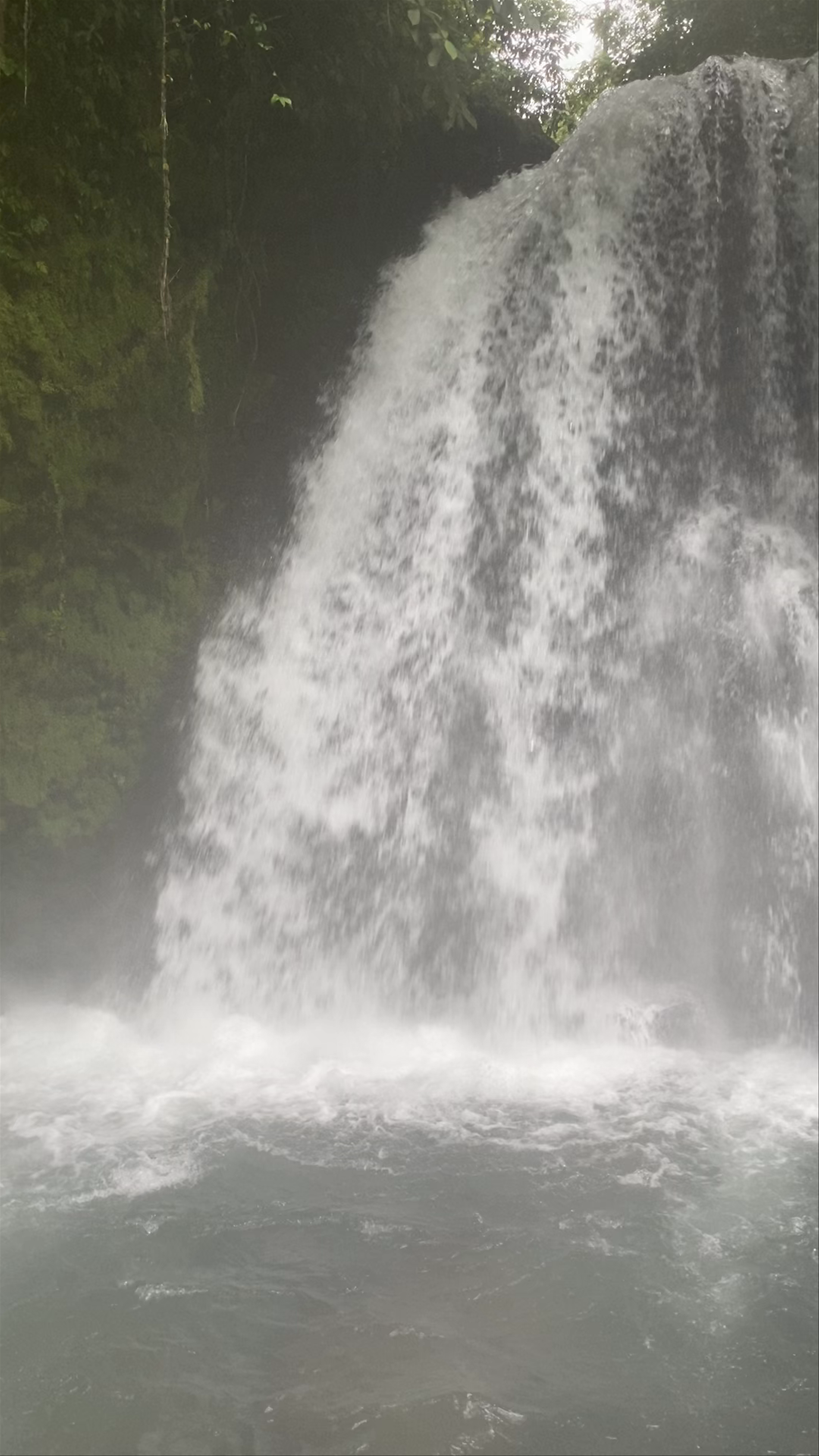 Waterfall Trail (350 mts), San Carlos