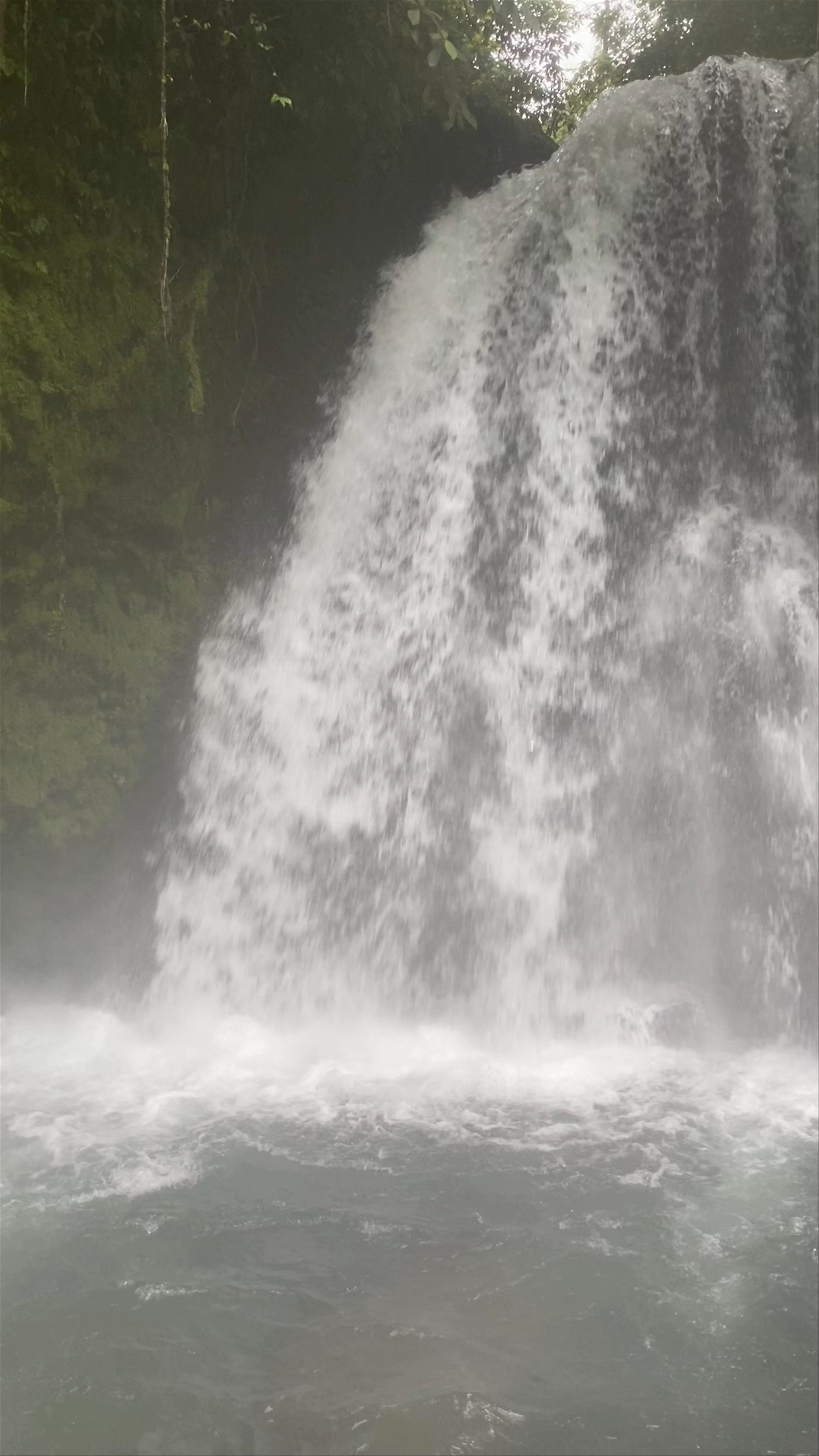 Arenal National Park Waterfall Trail