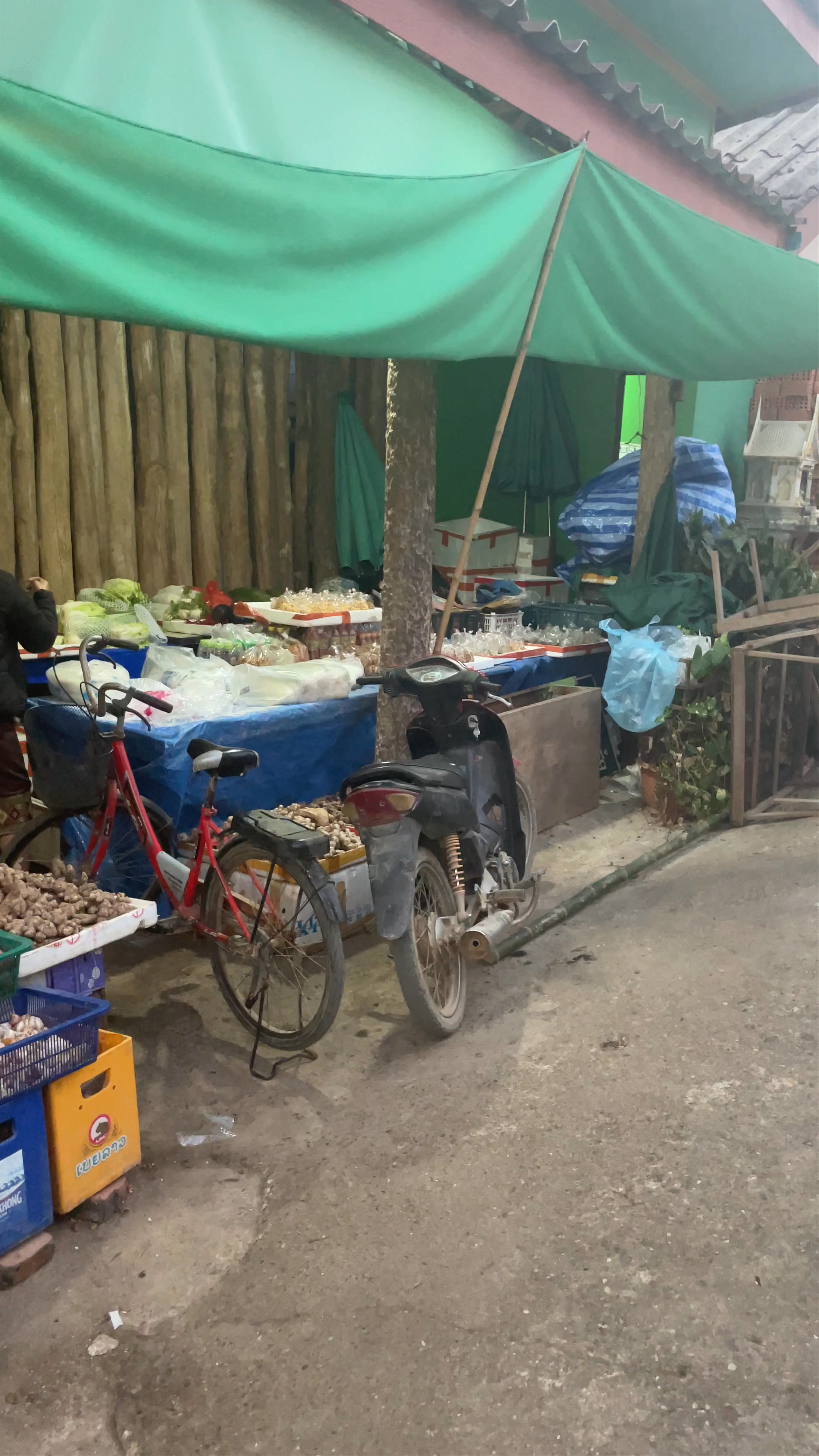 Green Restaurant & Local Market Stroll in Vang Vieng, Laos