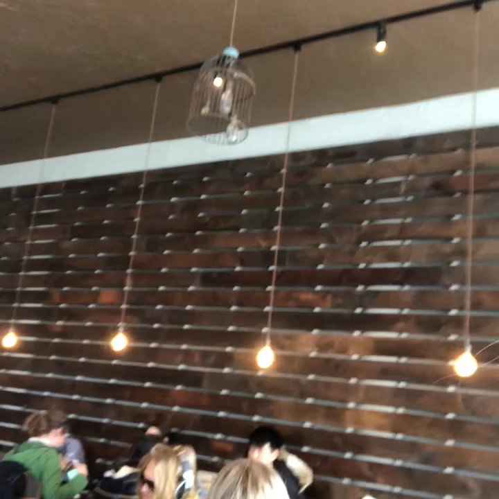 Phoenix Coffee - THIS PLACE IS LOUD! - Coffee & Tea Near Me - Cleveland, Ohio