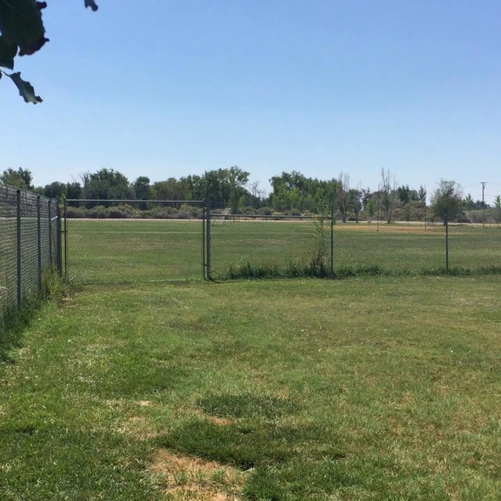 Fallon Dog Park - Video - Dog Parks Near Me - Fallon, Nevada