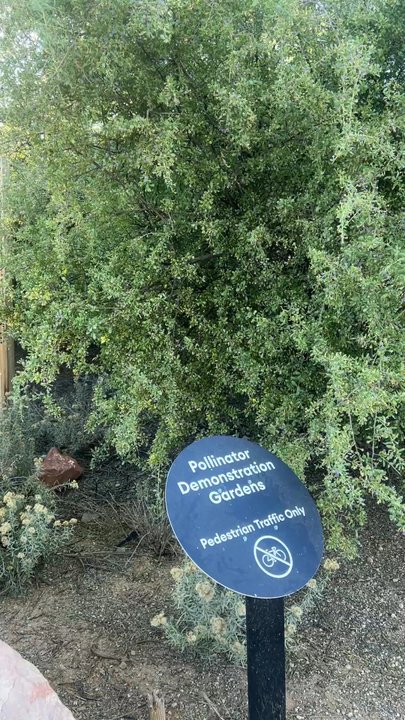 RIPARIAN PRESERVE AT WATER RANCH - Updated July 2026 - 829 Photos & 276 ...