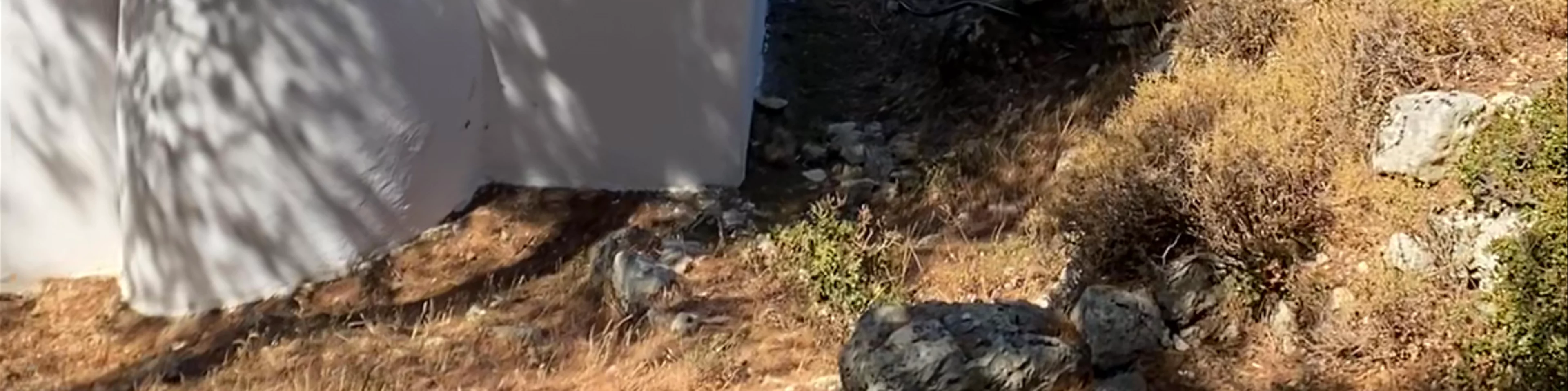Αγιοι Ανάργυροι