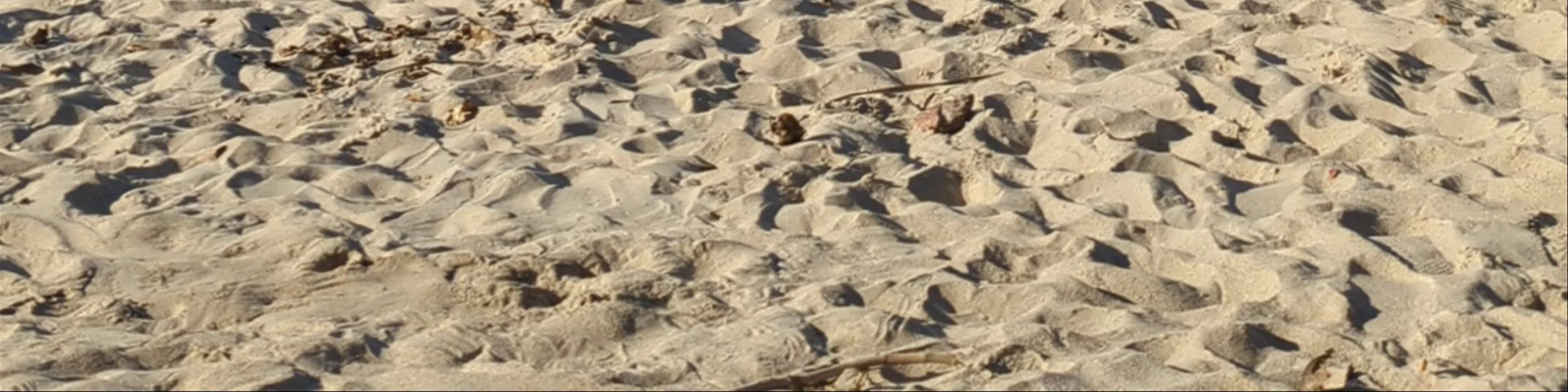 Beautiful beach