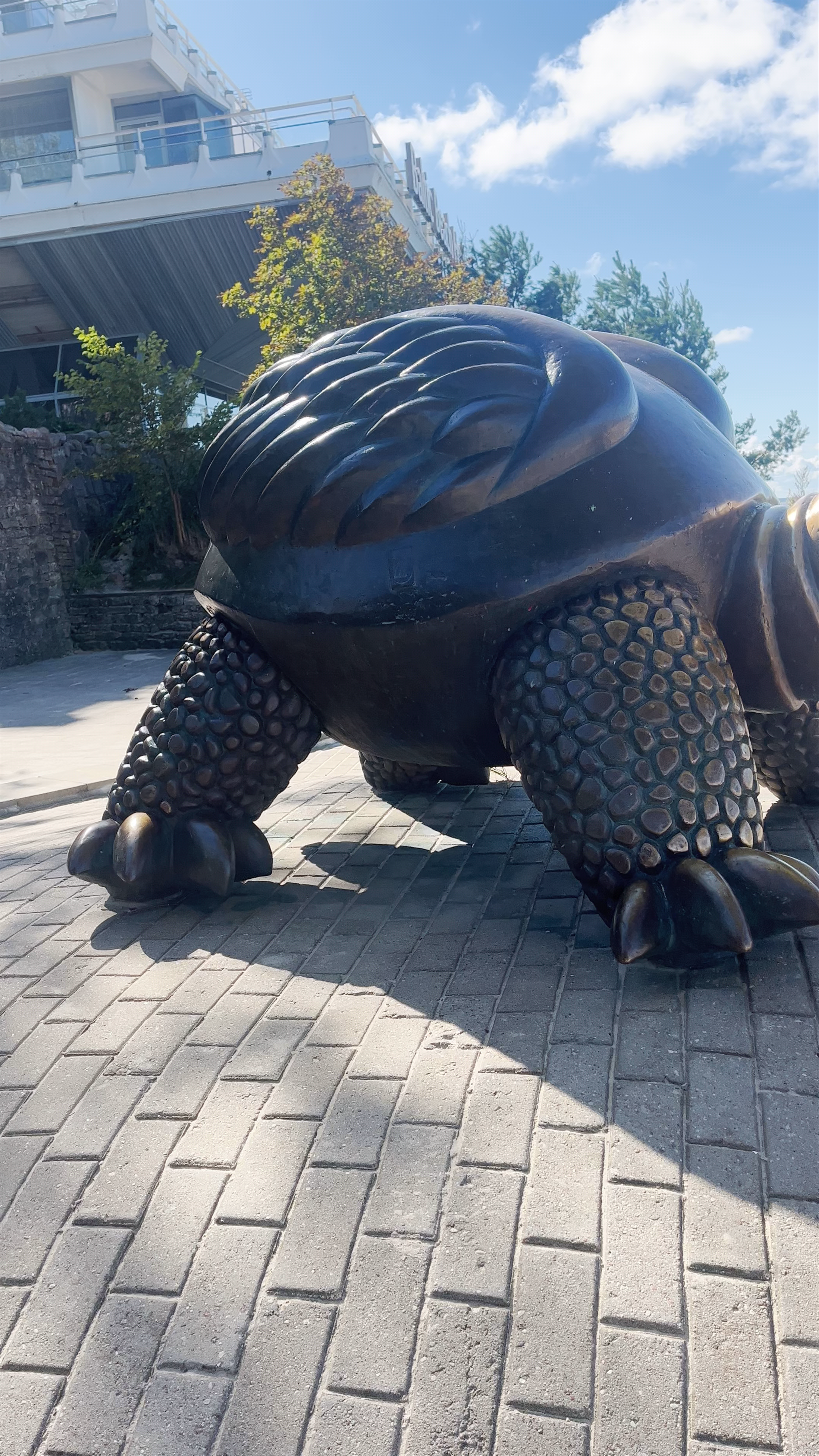 Bronze statue "The Turtle"