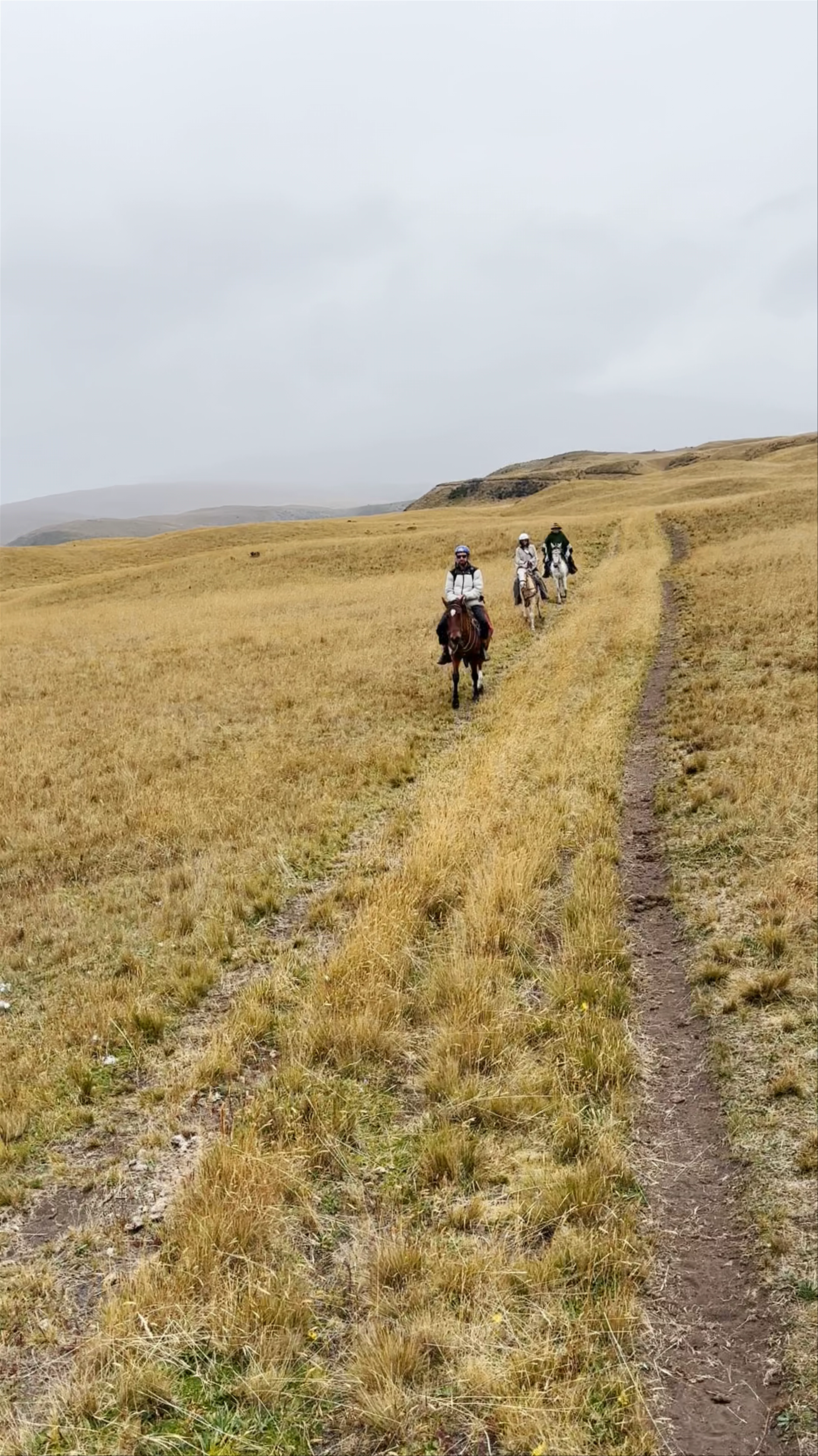 Cotopaxi National Park