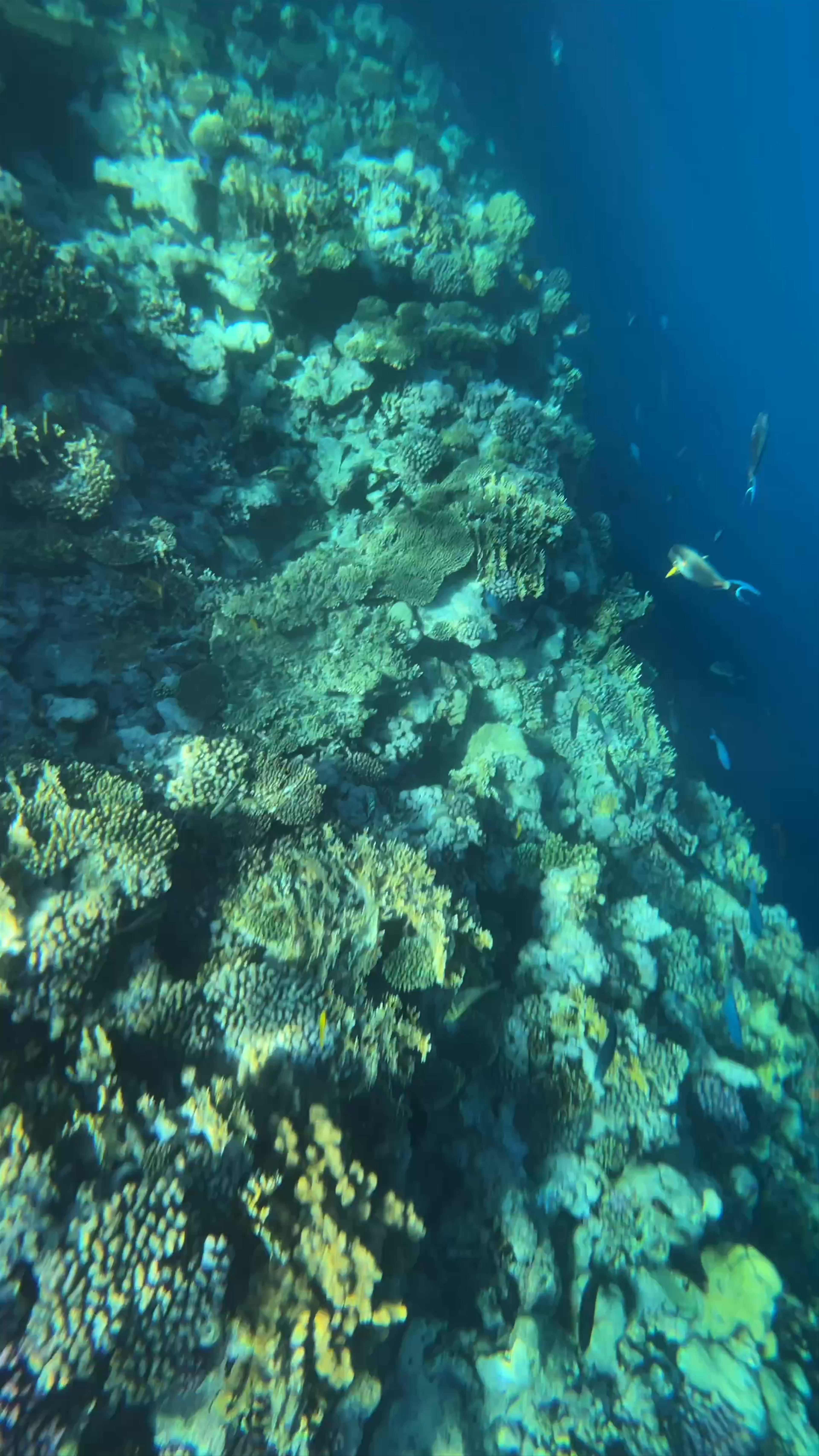 Charmillion Club Resort